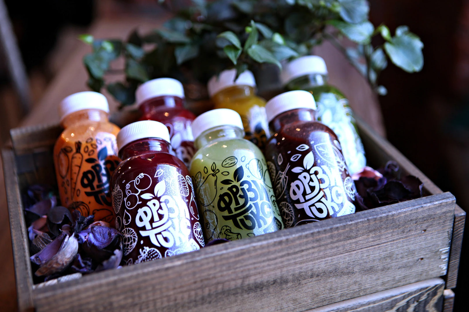 Фрузитокс - дизайн этикеток — Изображение №5 — Брендинг, Иллюстрация на Dprofile