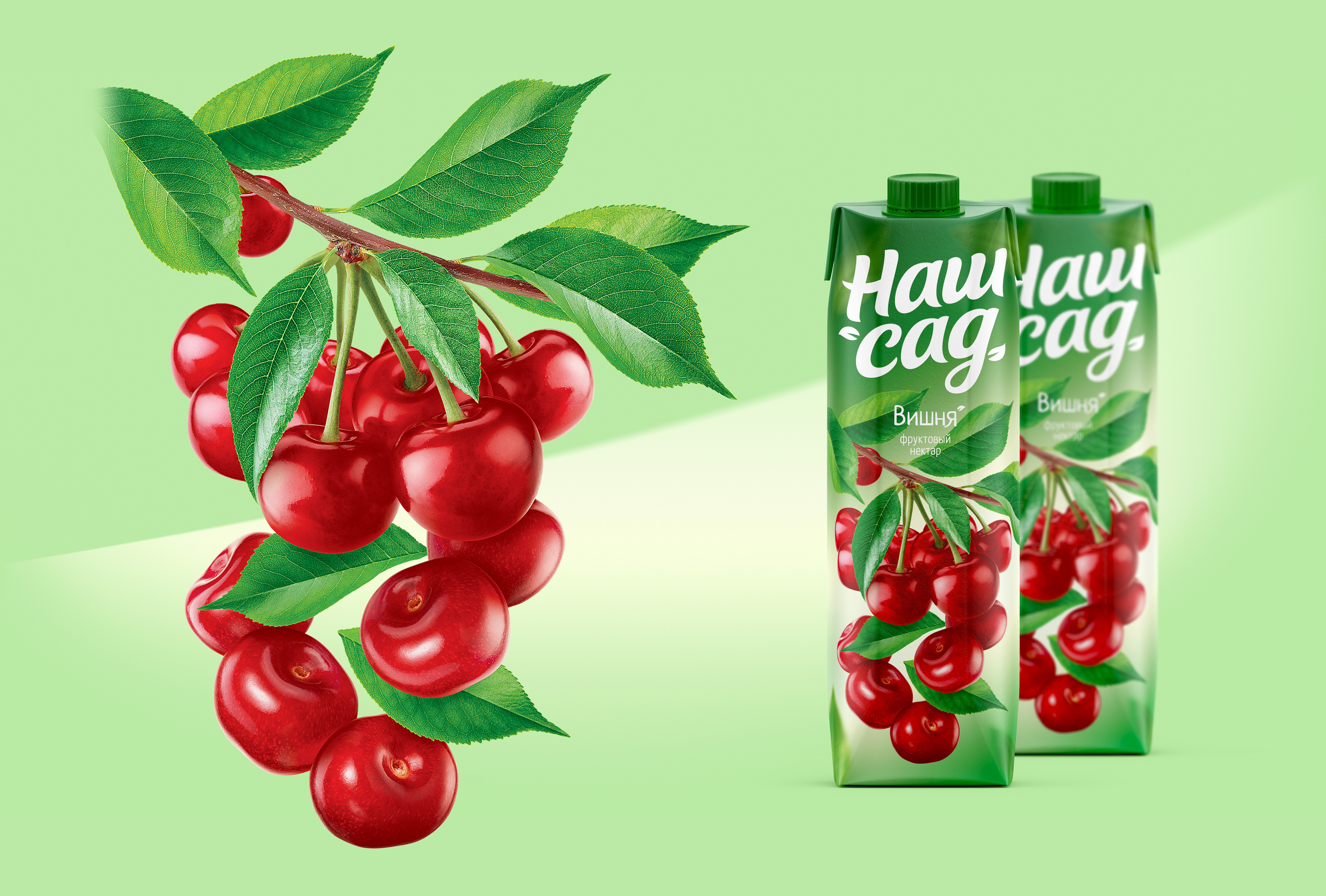 Соки и нектары "Наш сад" — Изображение №12 — Брендинг на Dprofile