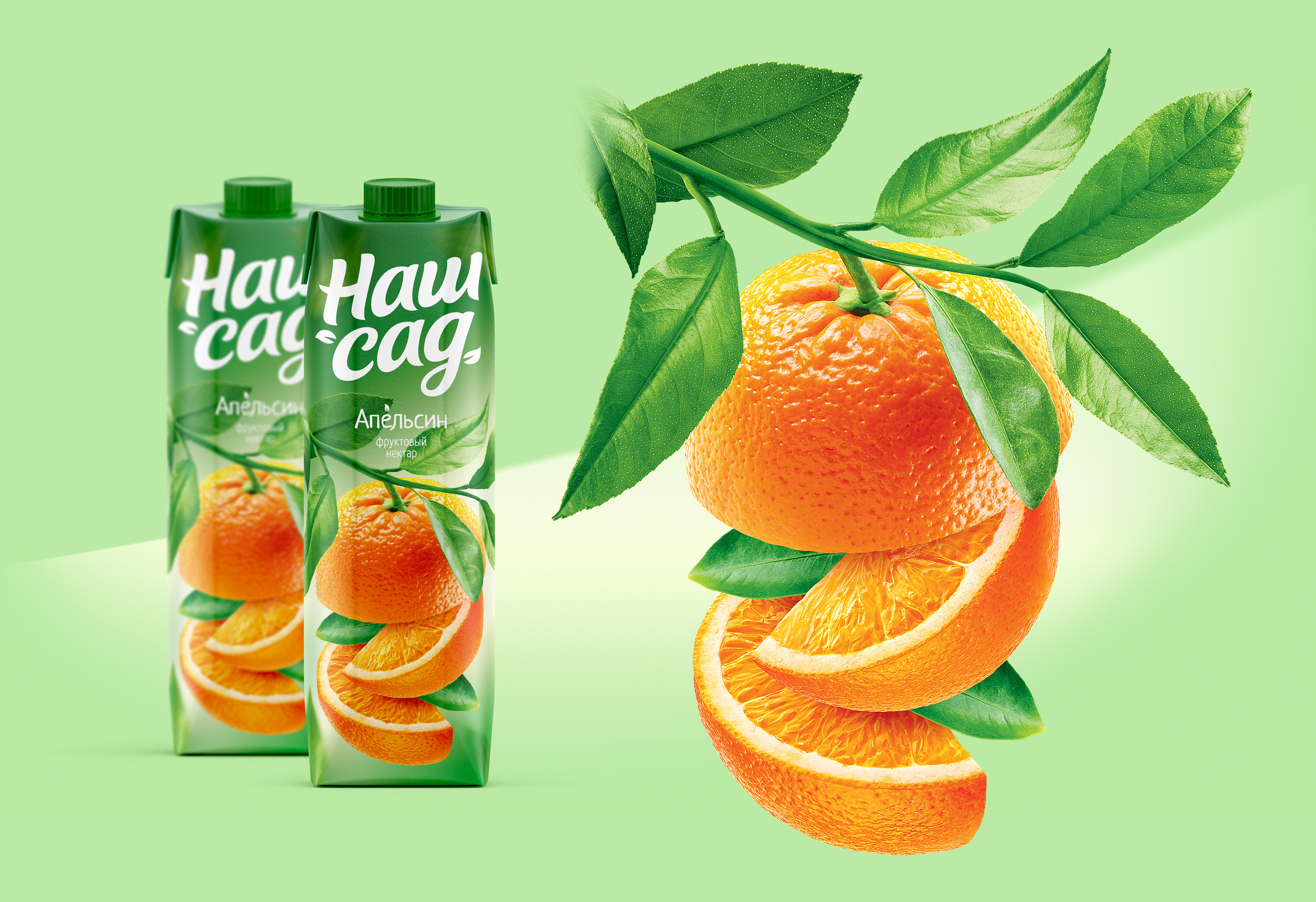 Соки и нектары "Наш сад" — Изображение №8 — Брендинг на Dprofile