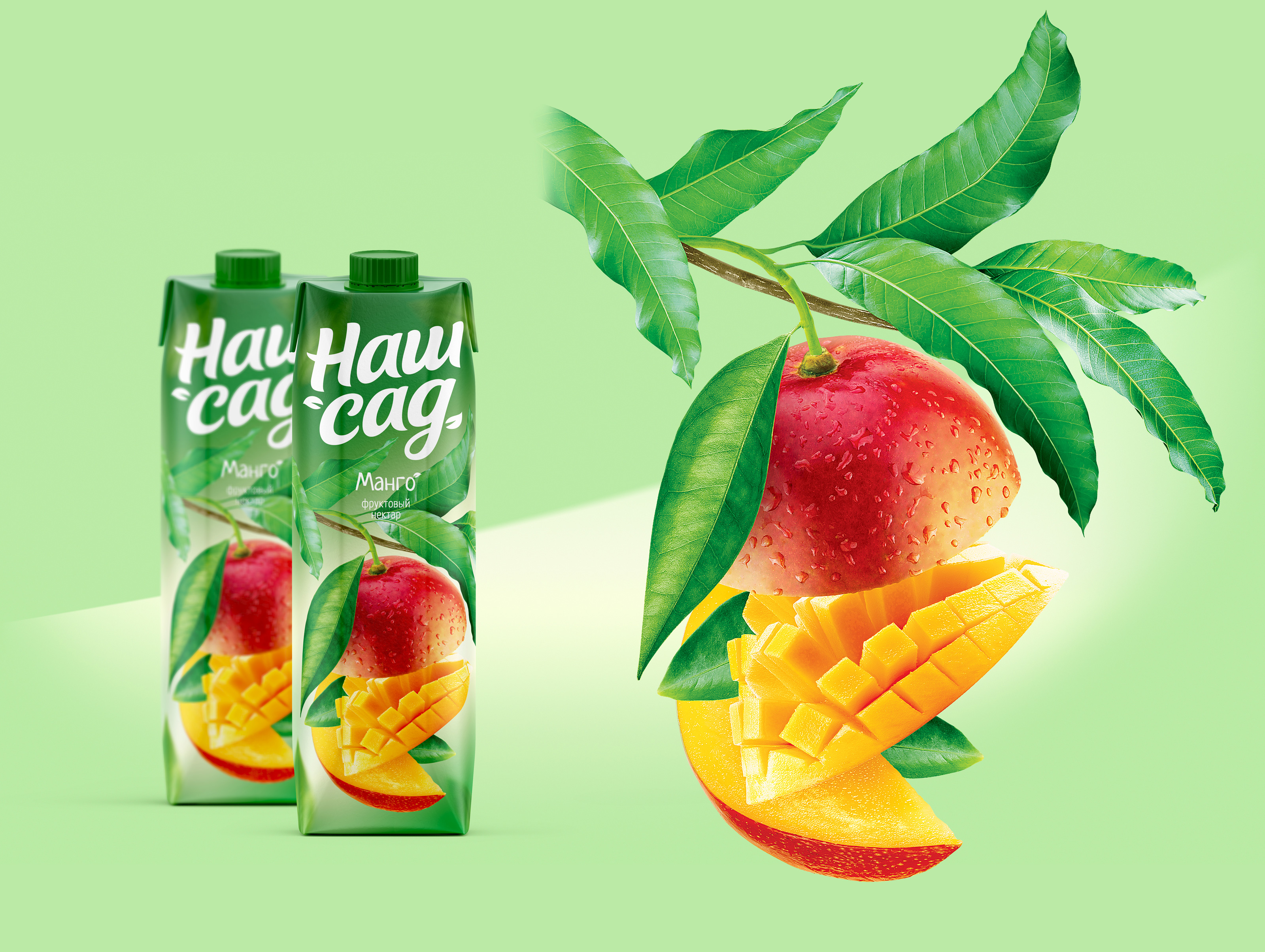 Соки и нектары "Наш сад" — Изображение №10 — Брендинг на Dprofile