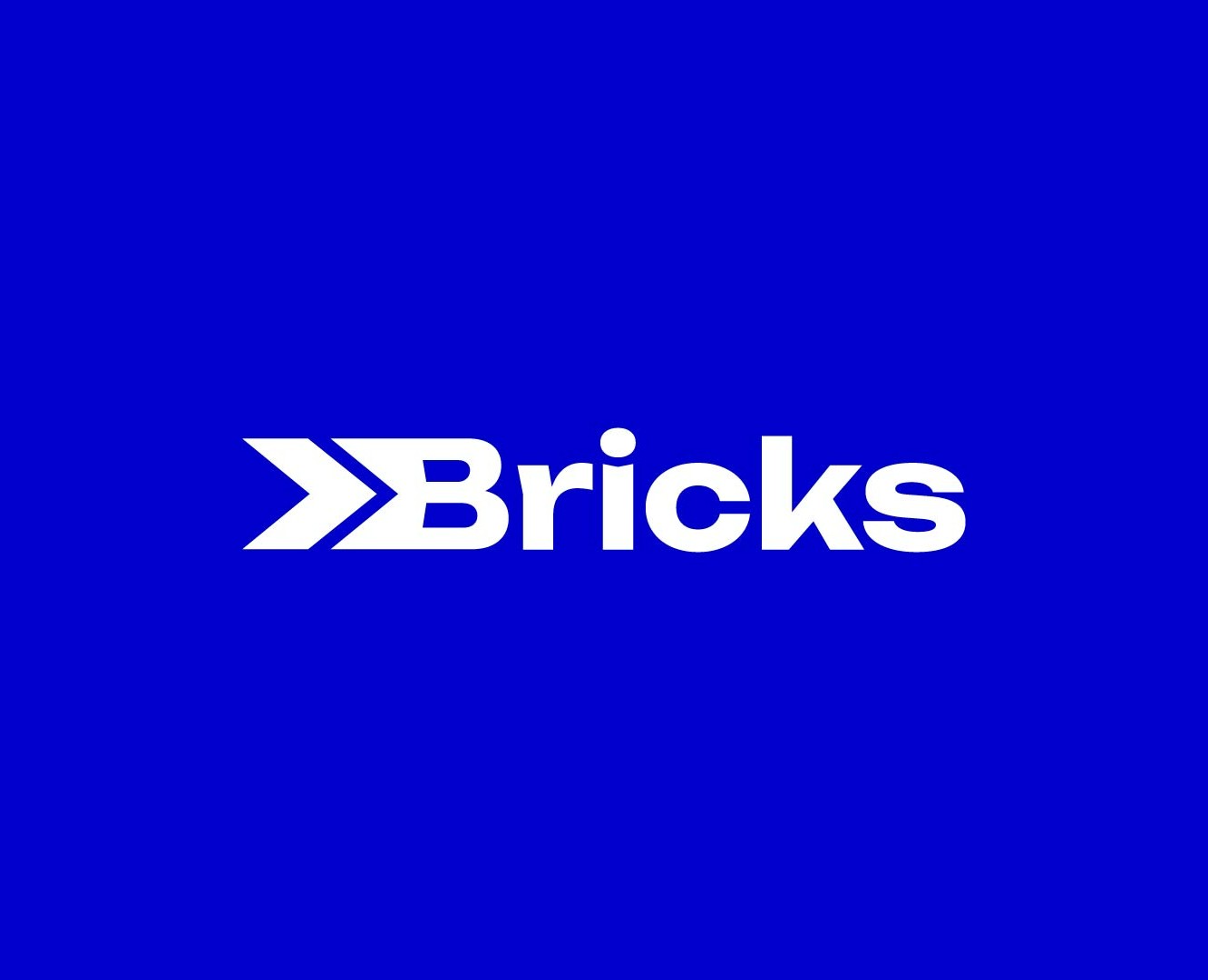 BRICKS | Fintech Company Identity на Dprofile