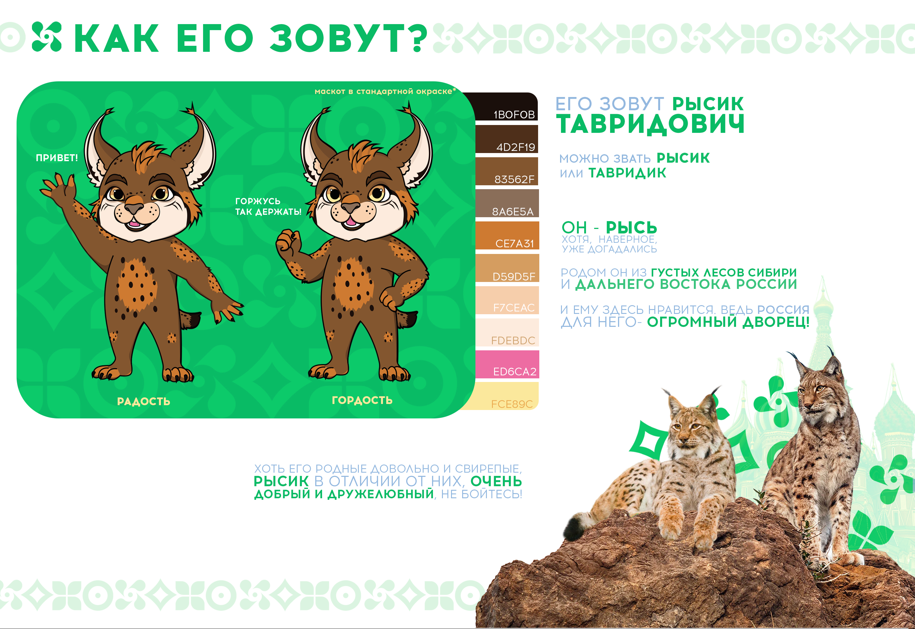 Маскот на конкурс — Изображение №2 — Брендинг, Иллюстрация на Dprofile