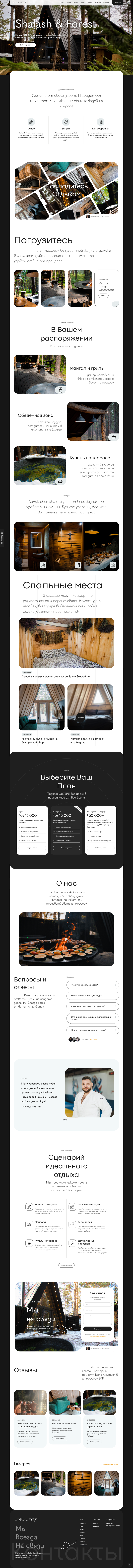 Shalash & Forest — Разработка сайта, брендирование — Изображение №1 — Интерфейсы, Брендинг на Dprofile