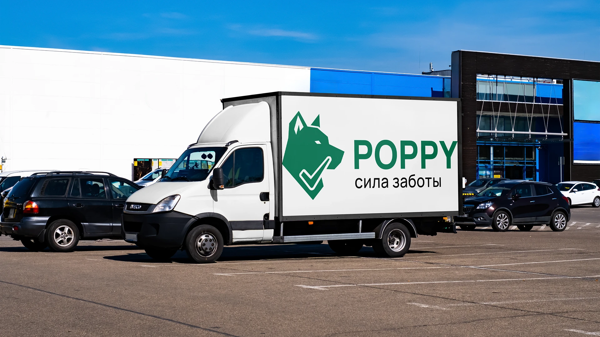 разработка логотипа и прзентации для соцсетей компании Poppy , производящей товары для животных — Изображение №8 — Брендинг, Маркетинг на Dprofile