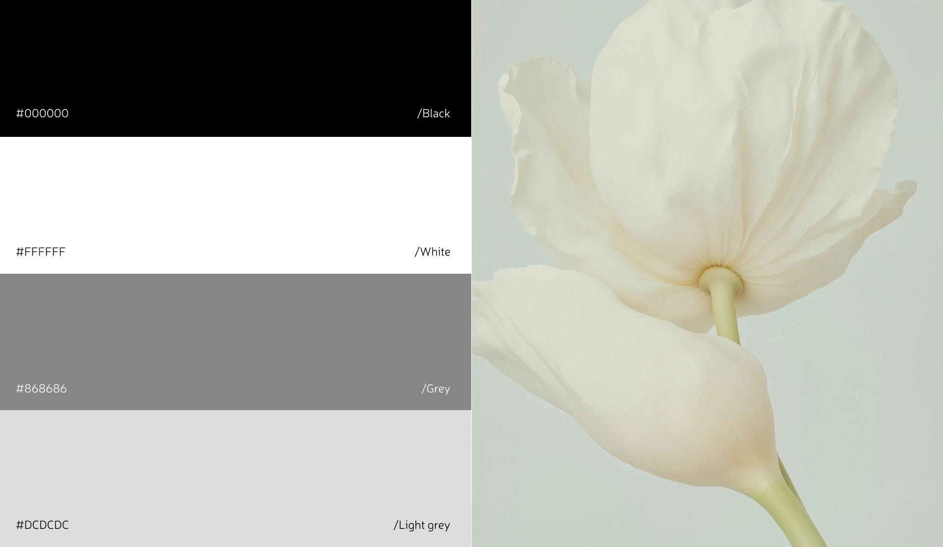 Интернет магазин цветов — Изображение №10 — Интерфейсы на Dprofile