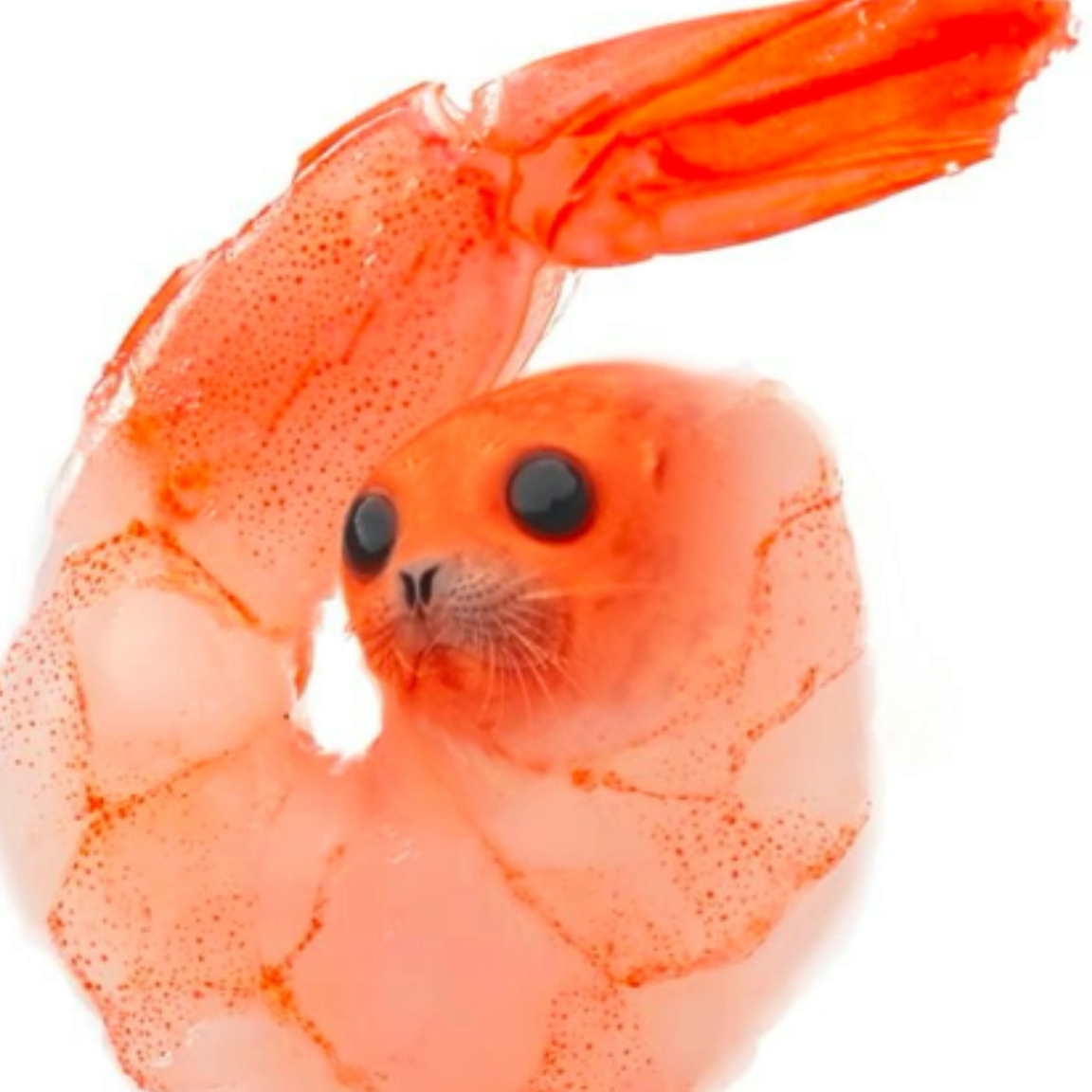 Аватар пользователя Мария Репина