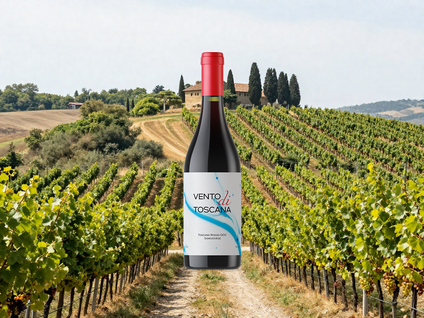 Vento di Toscana — Изображение №4 — Брендинг на Dprofile