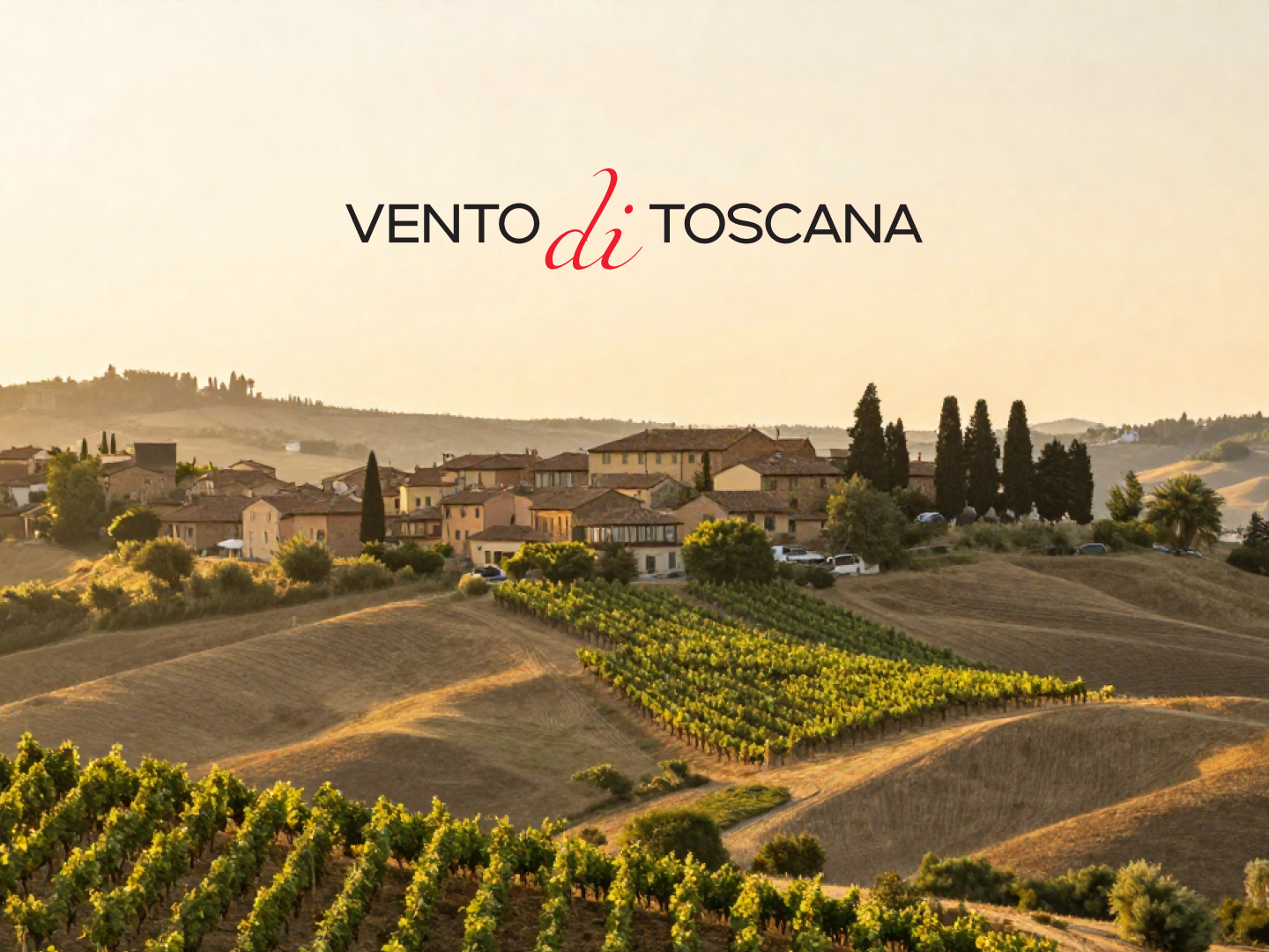 Vento di Toscana — Изображение №1 — Брендинг на Dprofile