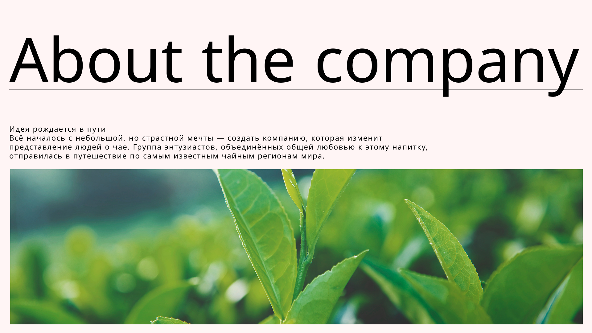 Фирменный стиль для чайной лавки — Изображение №1 — Интерфейсы на Dprofile