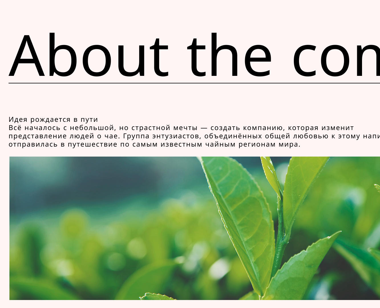 Чайная лавка — Интерфейсы на Dprofile