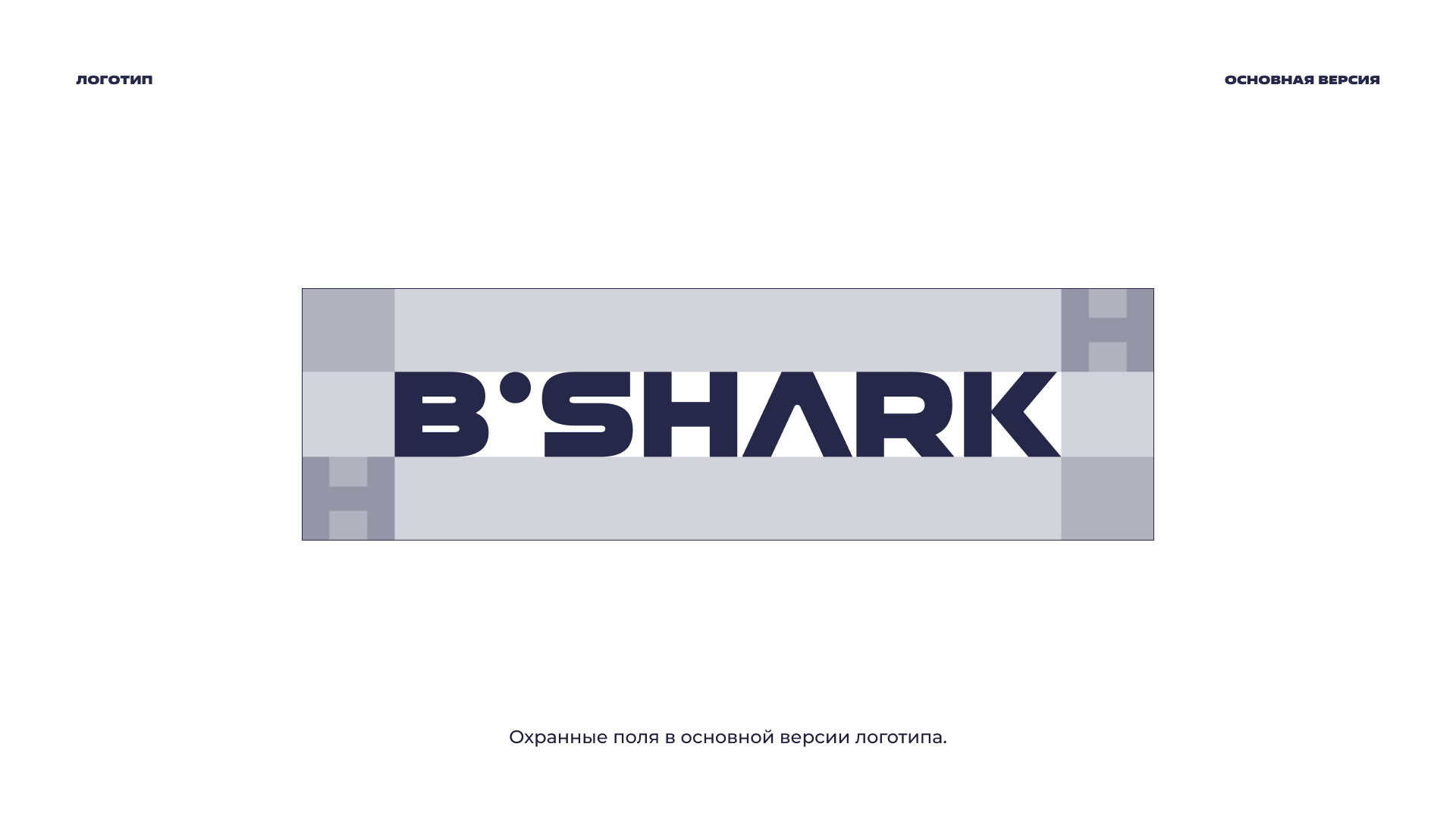 Фирменный стиль для агенства по брендингу B.SHARK — Изображение №5 — Брендинг, Графика на Dprofile