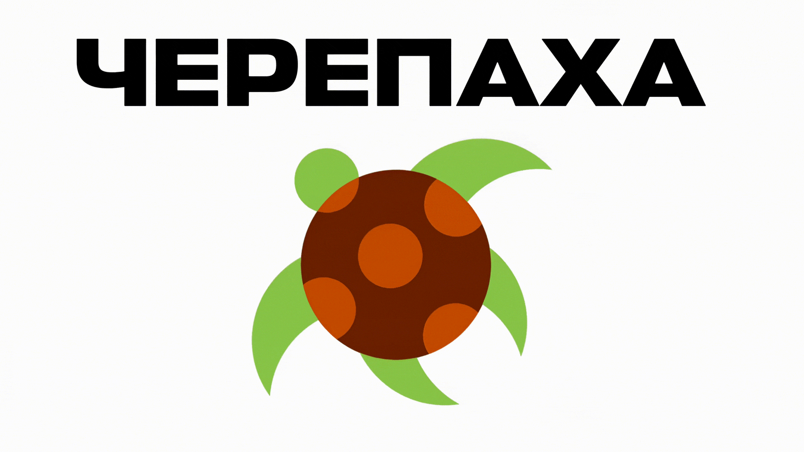 ЧЕРЕПАХА — Изображение №1 — Брендинг на Dprofile