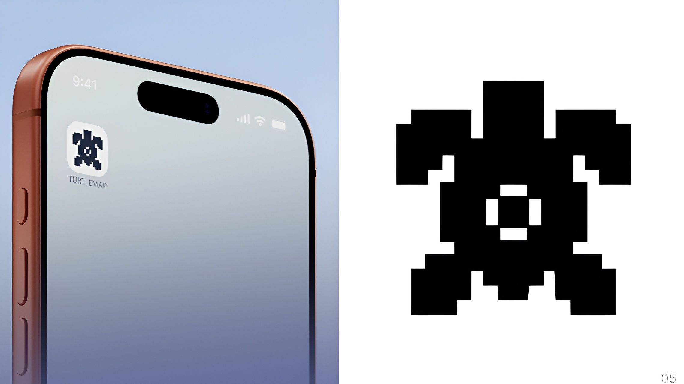 ЧЕРЕПАХА — Изображение №7 — Брендинг на Dprofile