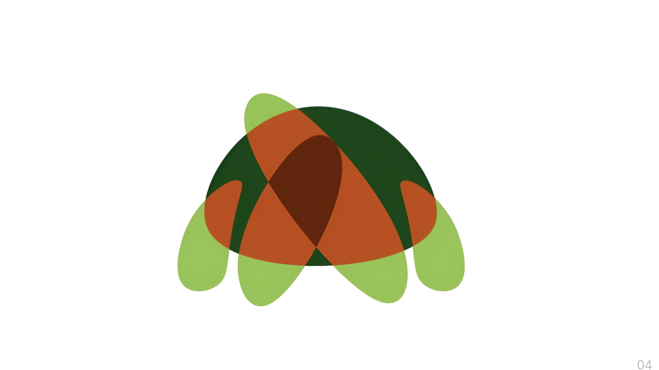 ЧЕРЕПАХА — Изображение №6 — Брендинг на Dprofile