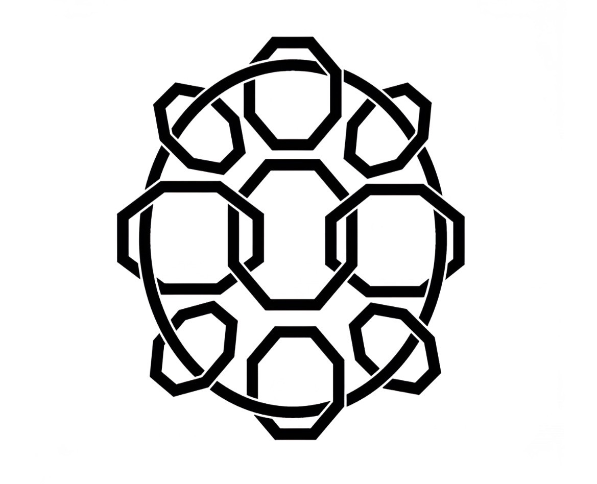 ЧЕРЕПАХА — Брендинг на Dprofile