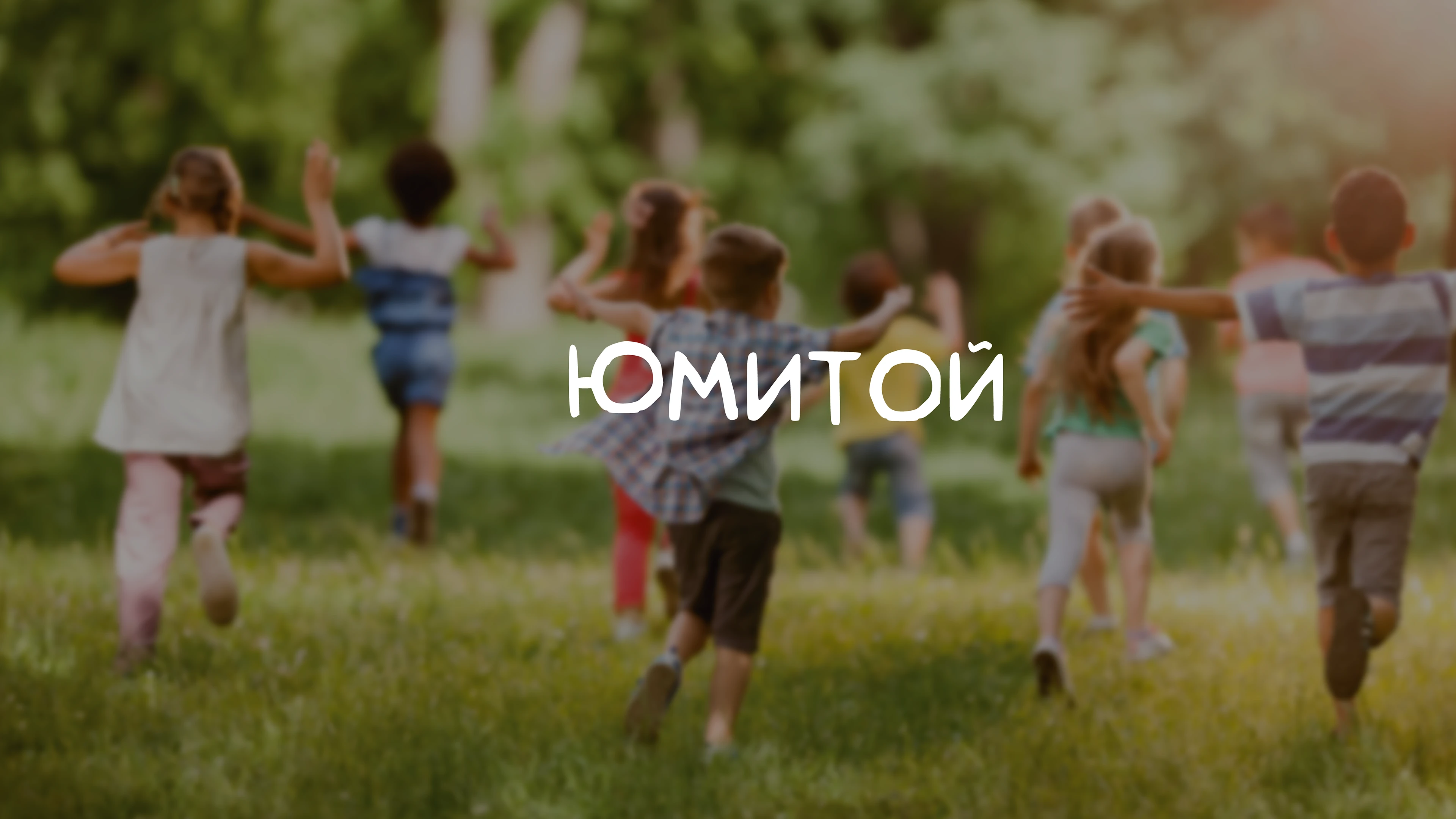 Айдентика для магазина детских игрушек | Дизайн логотипа — Изображение №1 — Брендинг, Графика на Dprofile