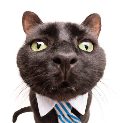 Аватар пользователя Александра Брендель