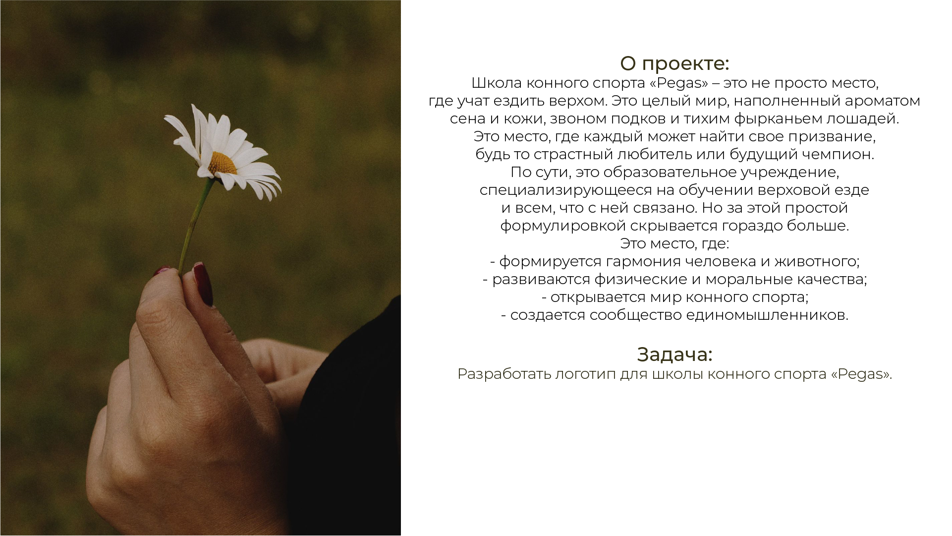 Дизайн логотипа для школы конного спорта — Изображение №2 — Брендинг, Графика на Dprofile