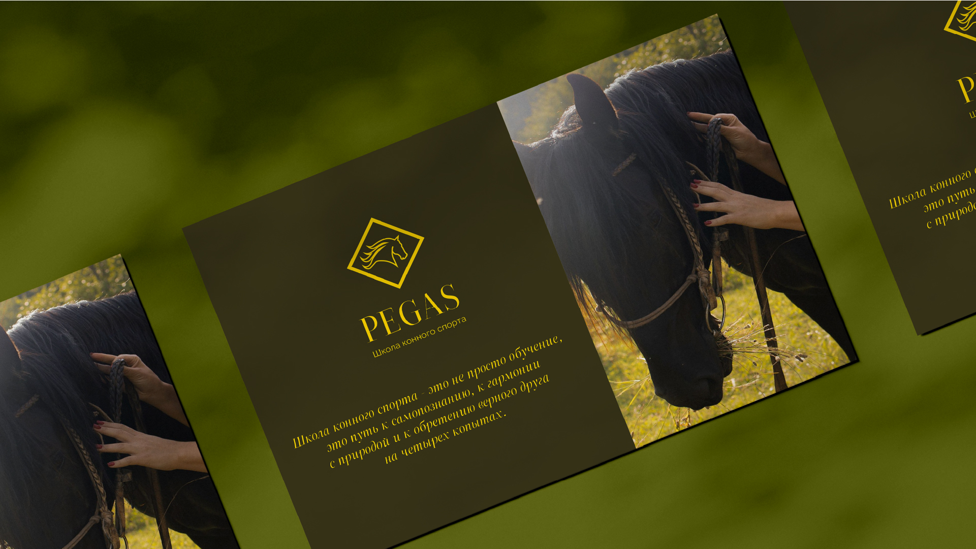 Дизайн логотипа для школы конного спорта — Изображение №5 — Брендинг, Графика на Dprofile