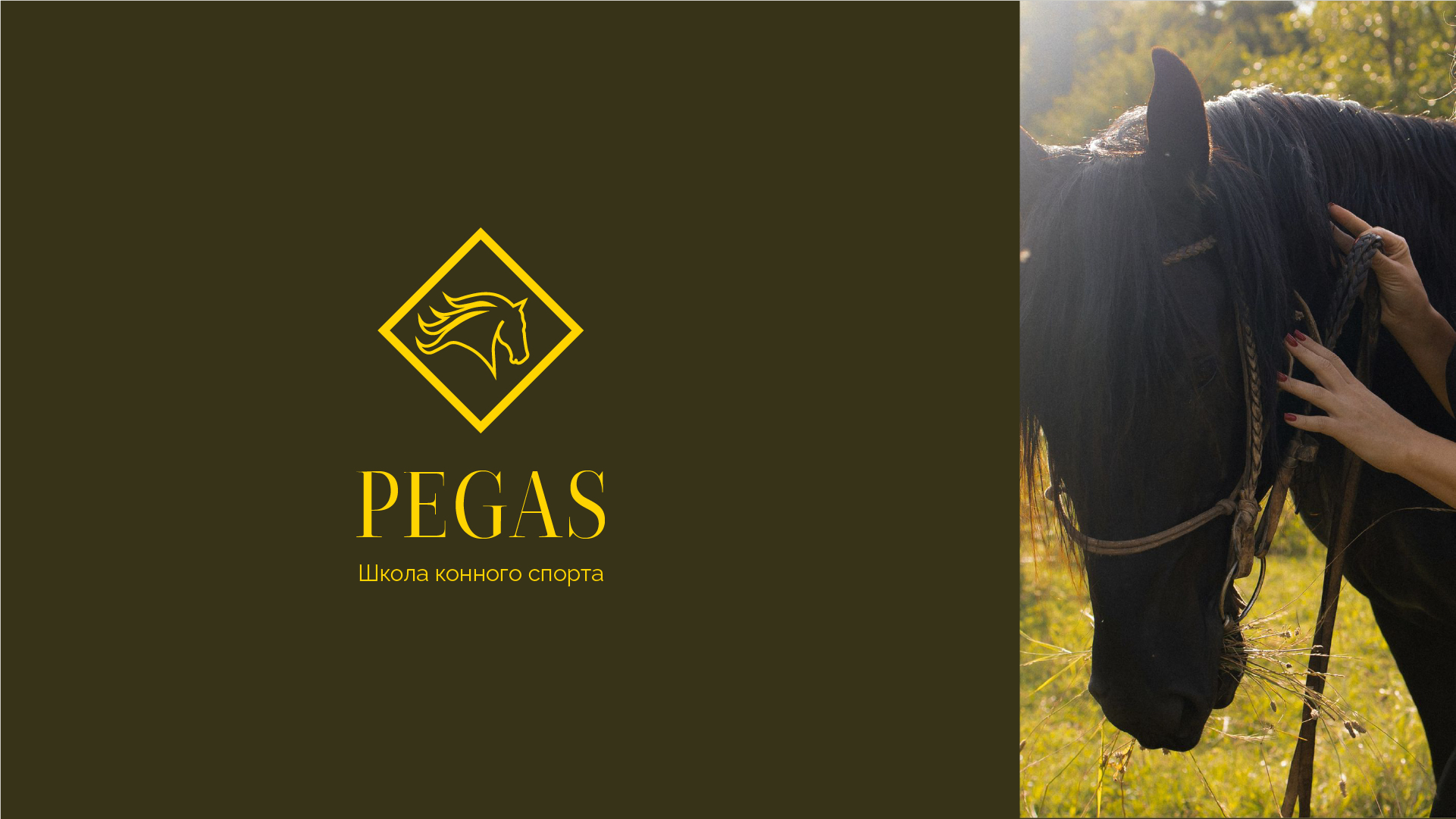 Дизайн логотипа для школы конного спорта — Изображение №1 — Брендинг, Графика на Dprofile