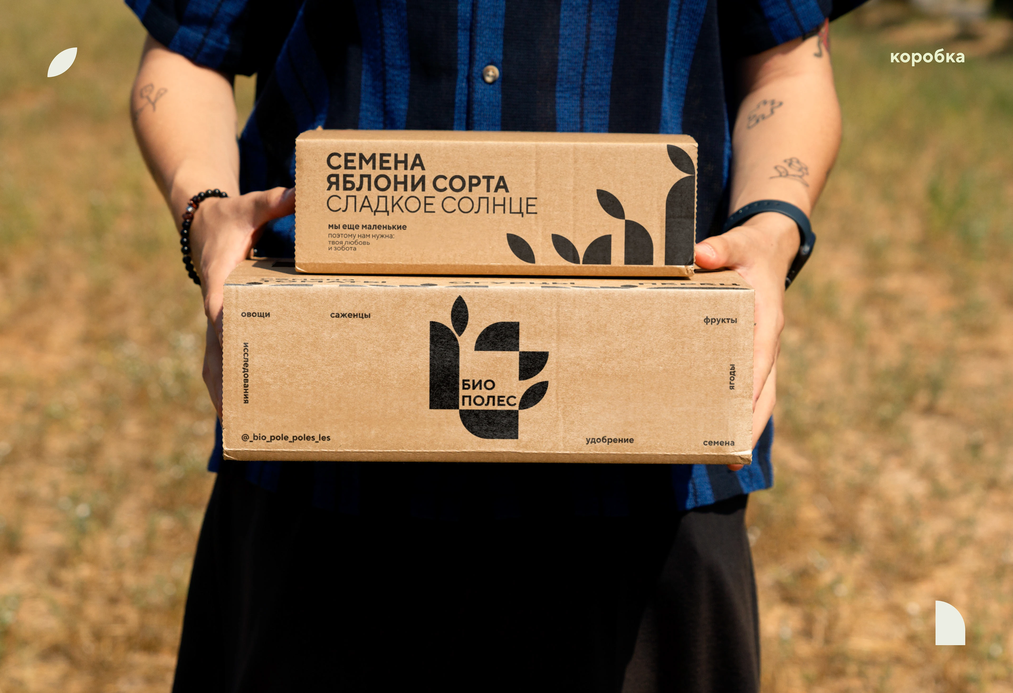 логотип био кластера Биополес — Изображение №17 — Брендинг на Dprofile