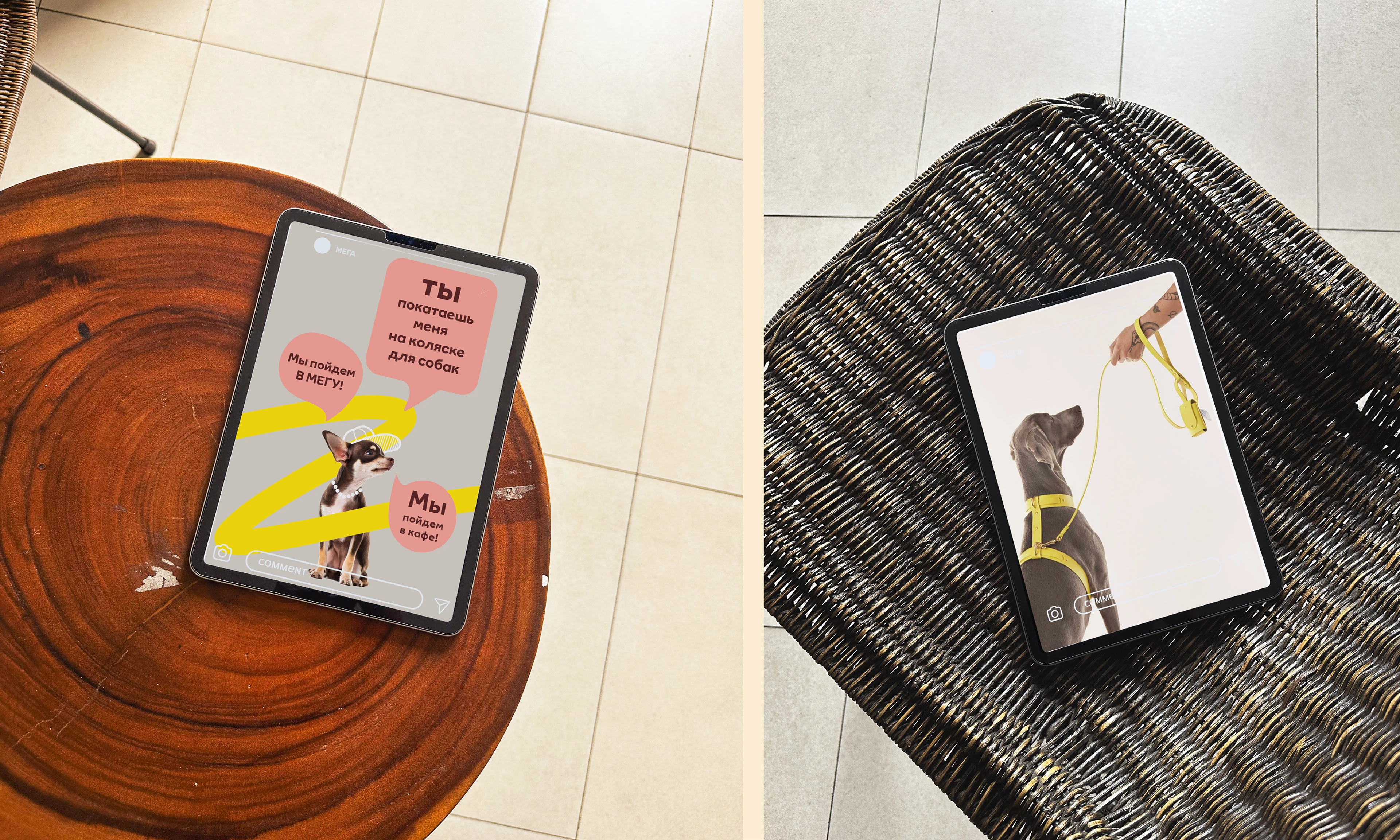 Рекламная концепция для Dog Friendly для ТЦ МЕГА — Изображение №3 — Брендинг, Маркетинг на Dprofile