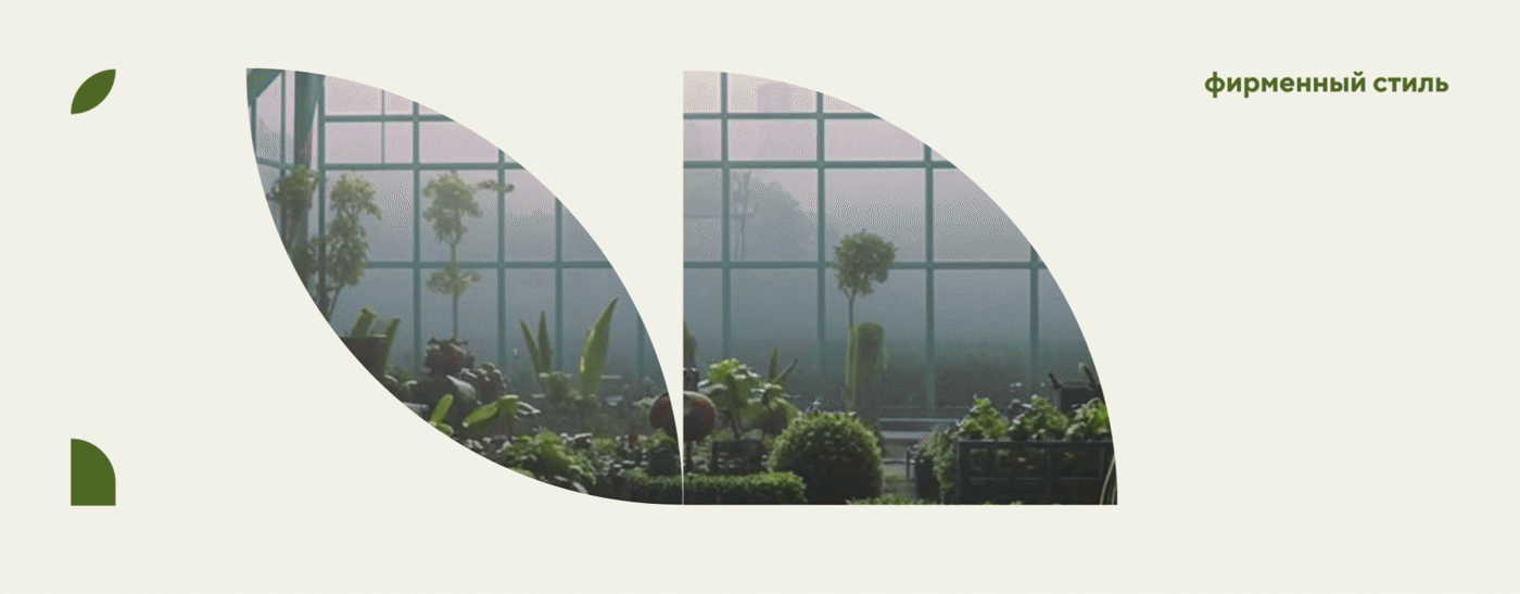 логотип био кластера Биополес — Изображение №5 — Брендинг на Dprofile