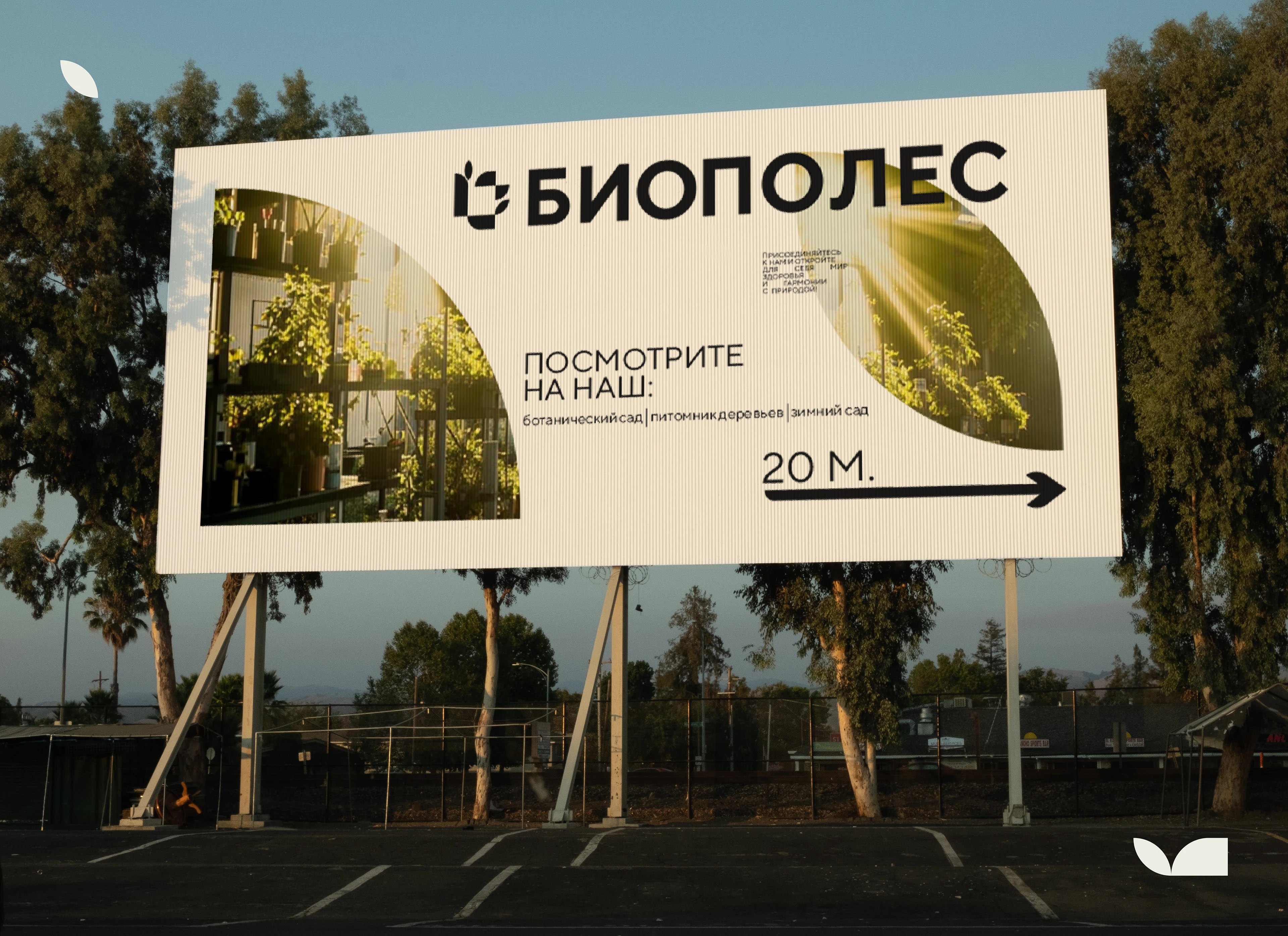 логотип био кластера Биополес — Изображение №4 — Брендинг на Dprofile