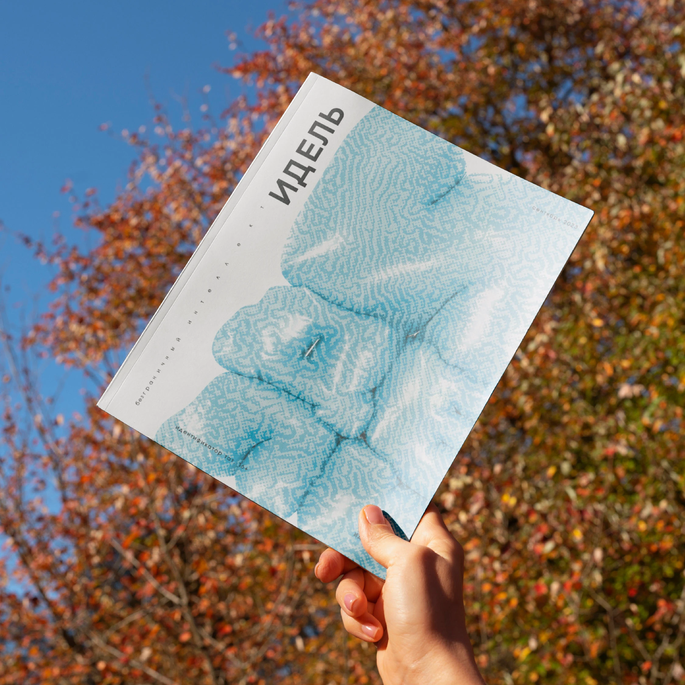 дизайн журнала Идель — Изображение №3 — Интерфейсы, Графика на Dprofile