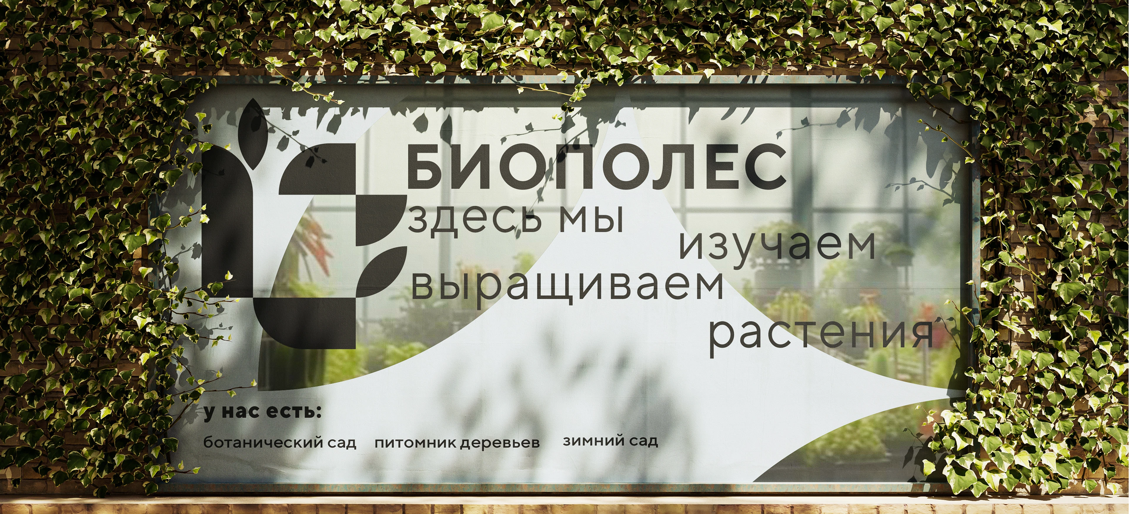 логотип био кластера Биополес — Изображение №9 — Брендинг на Dprofile