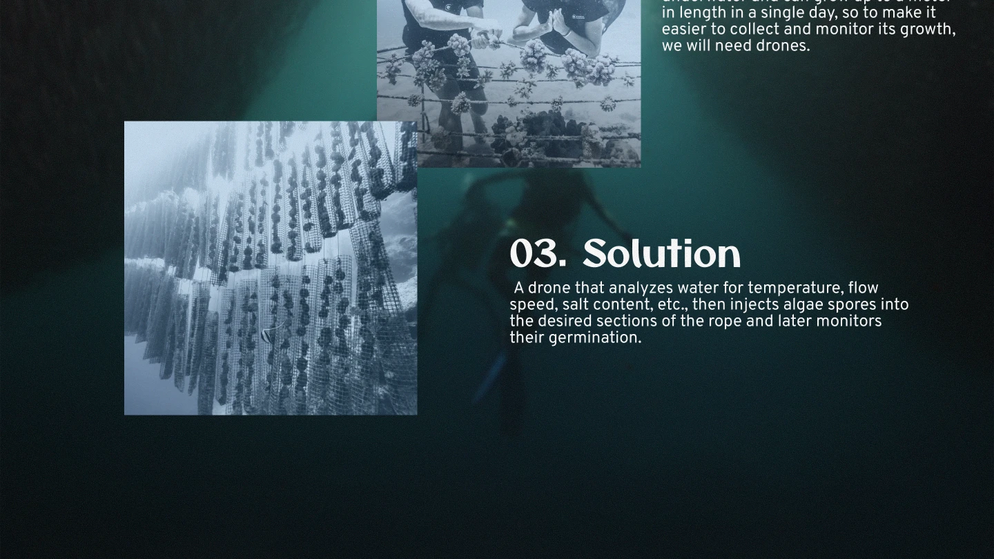 Industrial Design Portfolio 2025 — Изображение №36 — Брендинг, 3D, Промдизайн на Dprofile