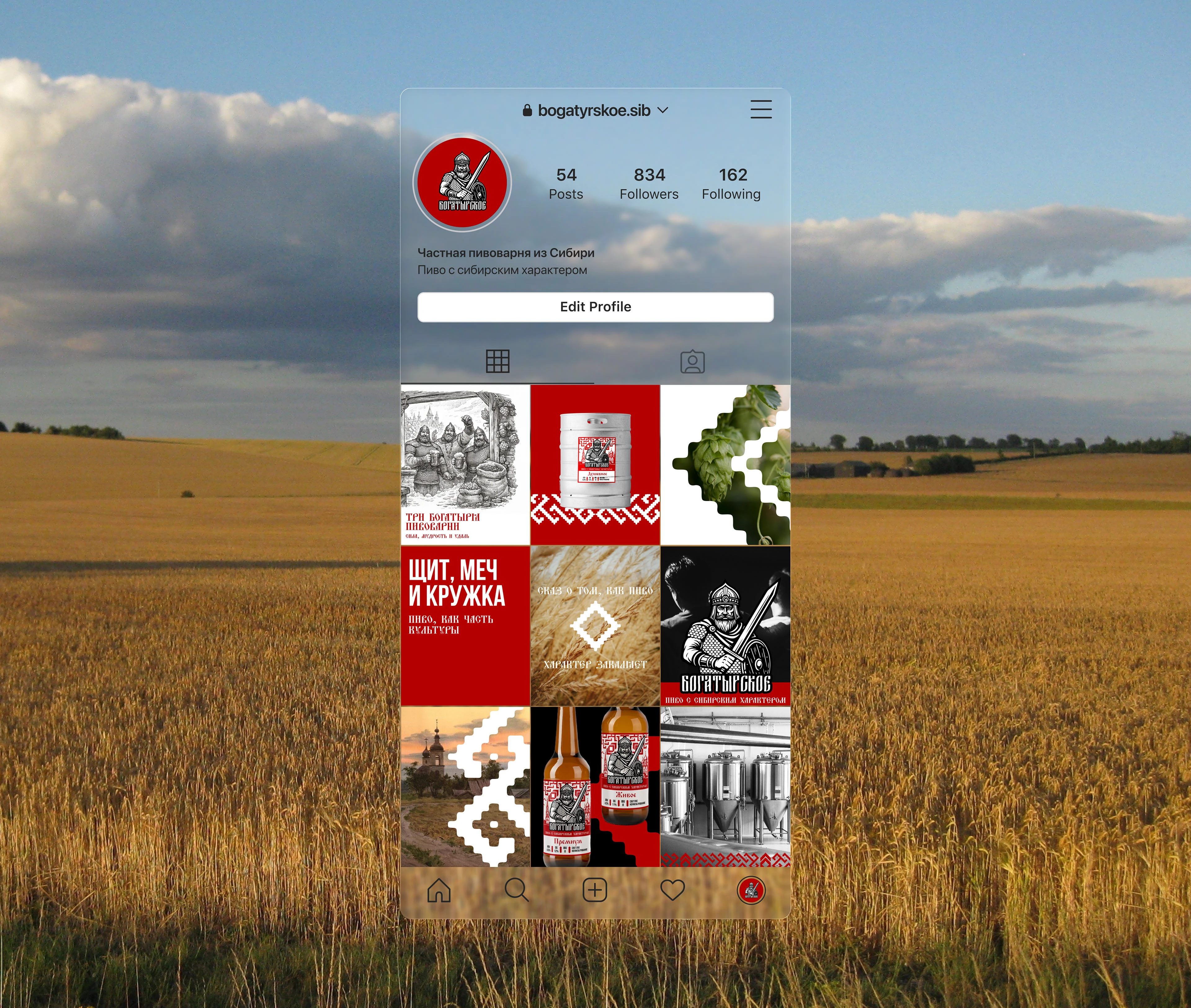 Богатырское | Фирменный стиль для линейки пива — Изображение №16 — Брендинг на Dprofile