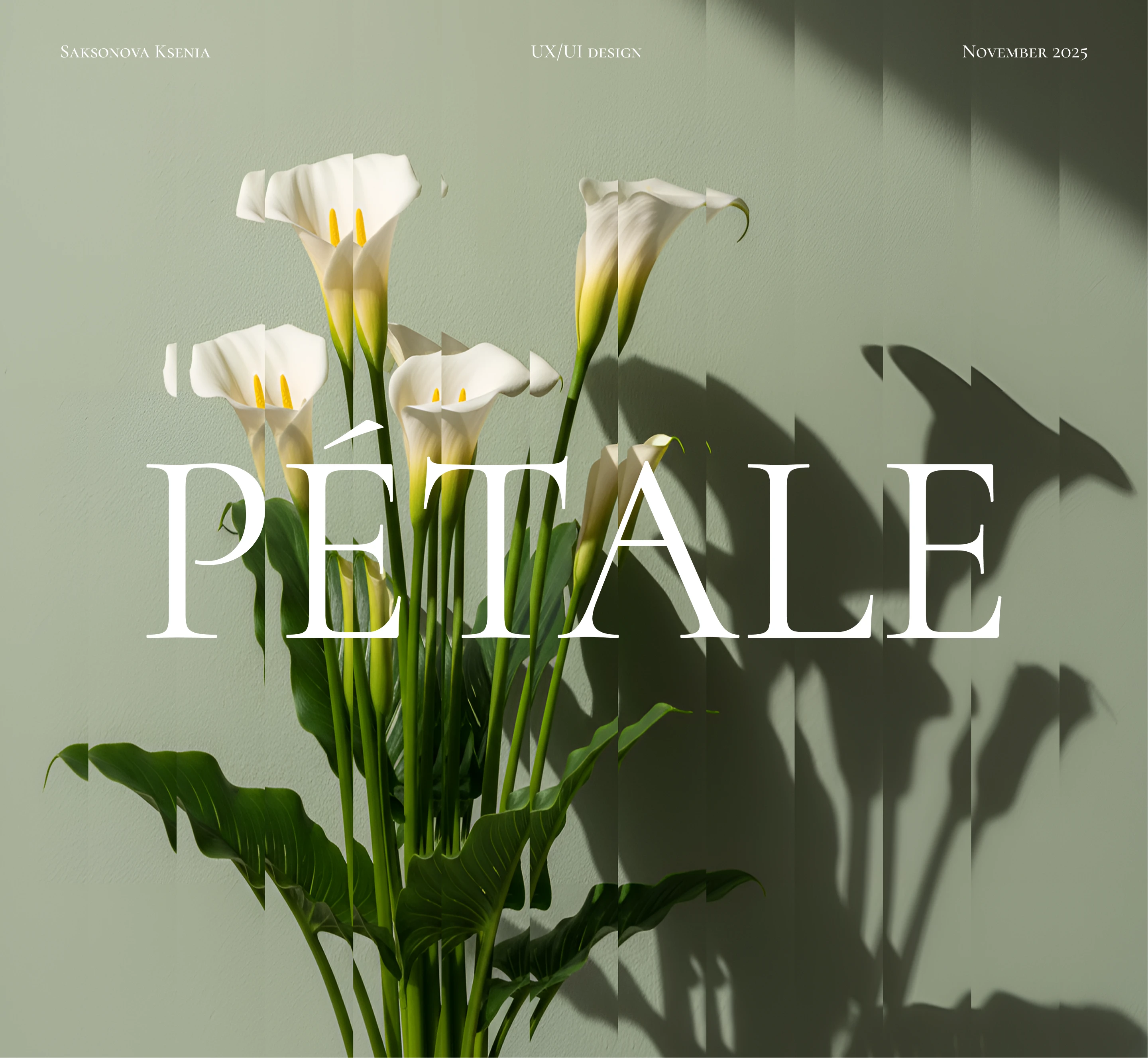 Pétale - Flower shop — Изображение №1 — Интерфейсы на Dprofile