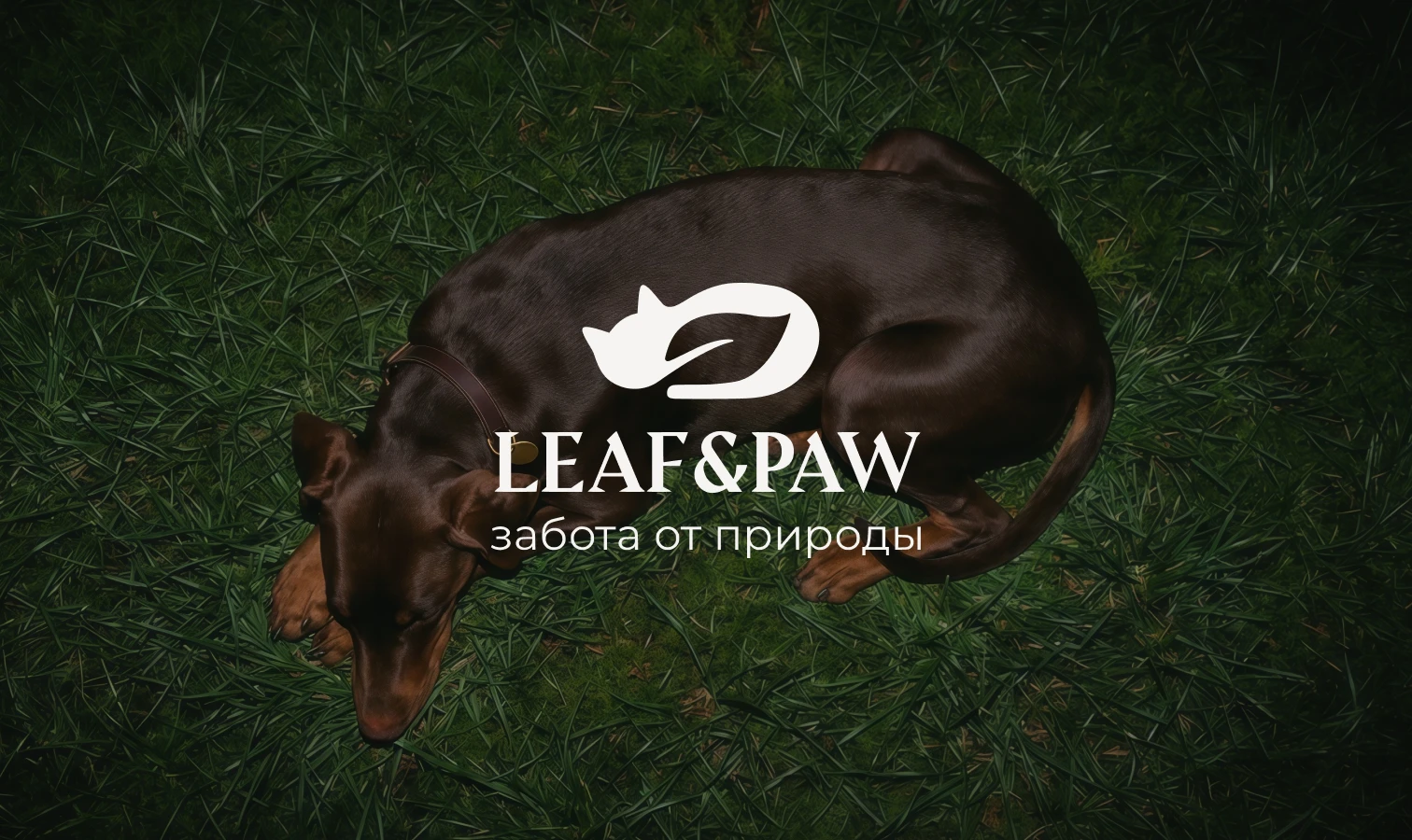 LEAF&PAW | BRAND IDENTIDY — Изображение №1 — Брендинг на Dprofile