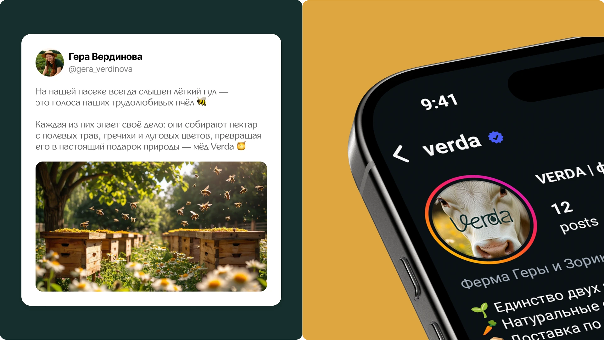 VERDA — фирменный стиль фермерского хозяйства — Изображение №18 — Брендинг на Dprofile