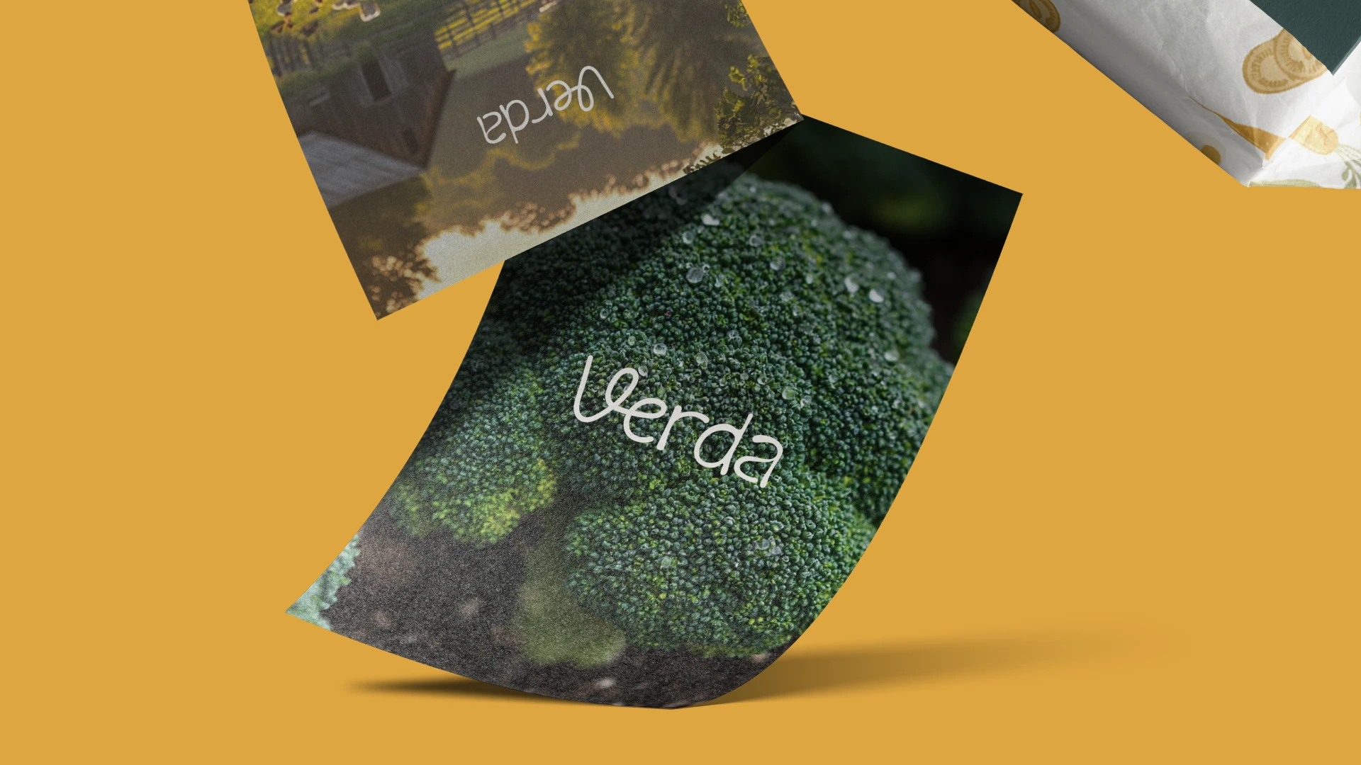 VERDA — фирменный стиль фермерского хозяйства — Изображение №3 — Брендинг на Dprofile