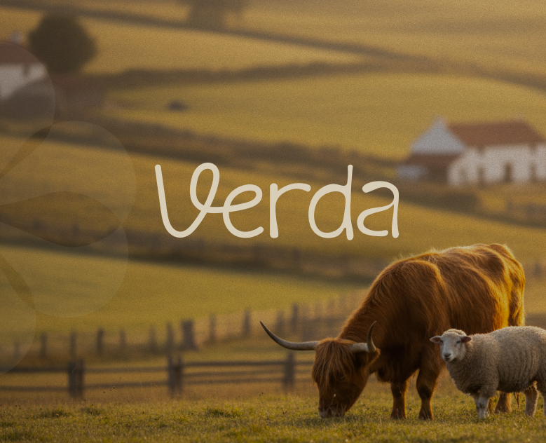 VERDA — фирменный стиль фермерского хозяйства — Брендинг на Dprofile