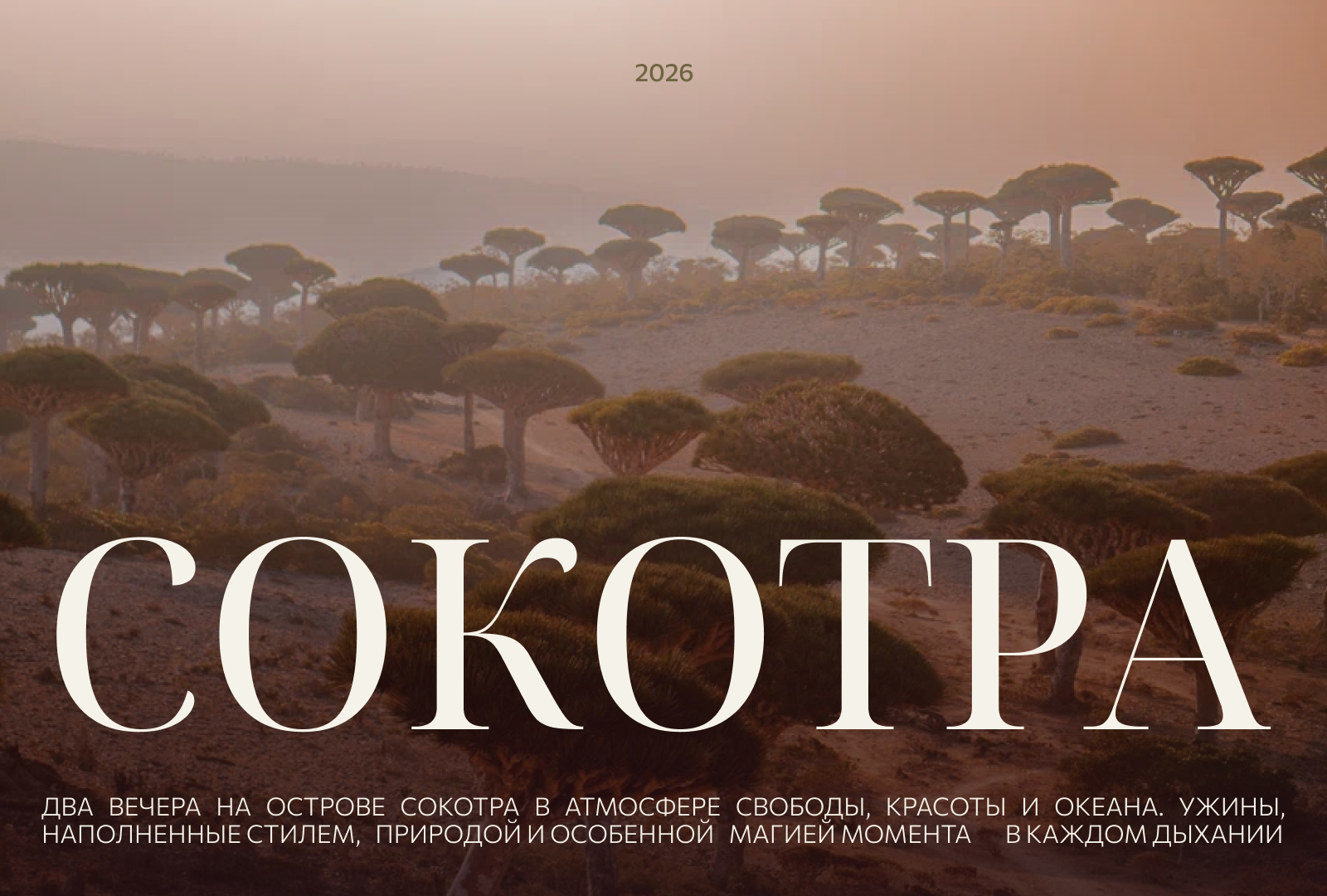 Презентация-приглашение — Изображение №1 — Графика, Маркетинг на Dprofile