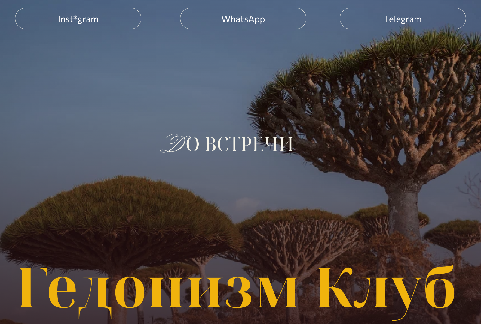 Презентация-приглашение — Изображение №11 — Графика, Маркетинг на Dprofile