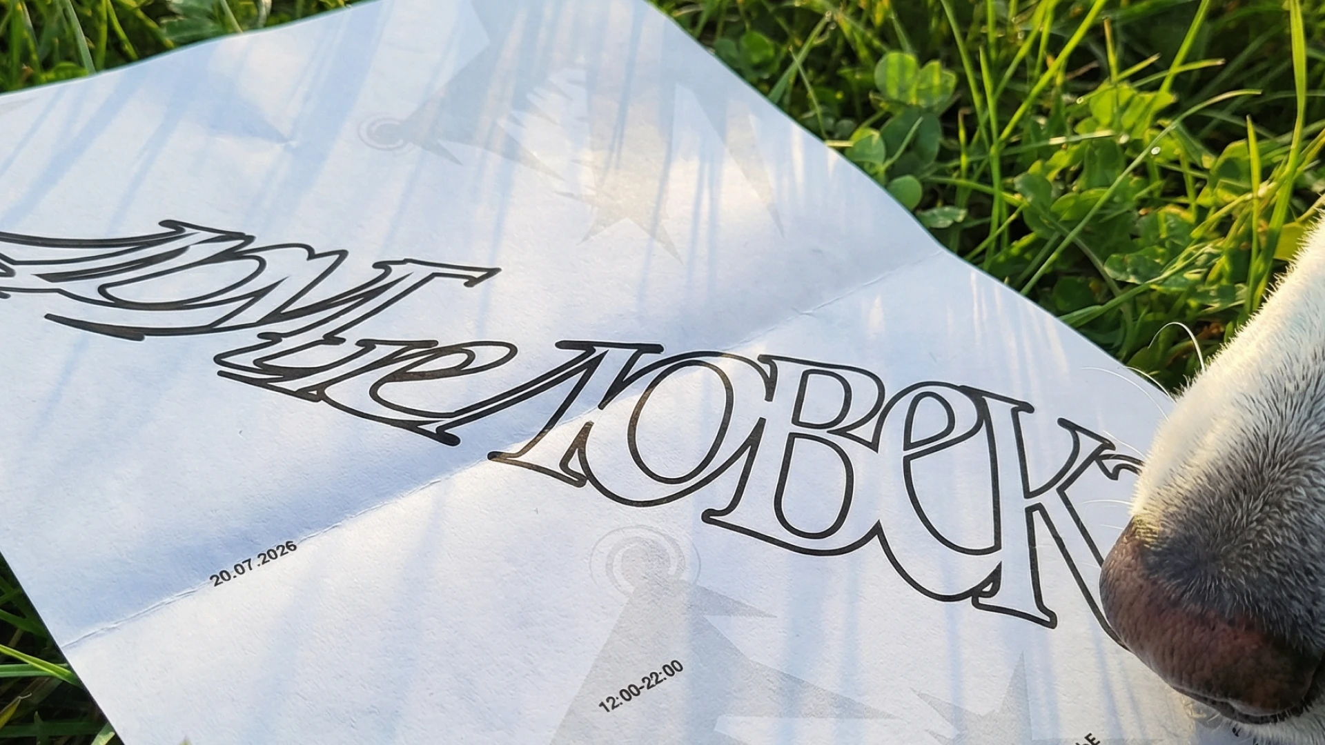 ДРУГ ЧЕЛОВЕКА — Изображение №5 — Брендинг на Dprofile