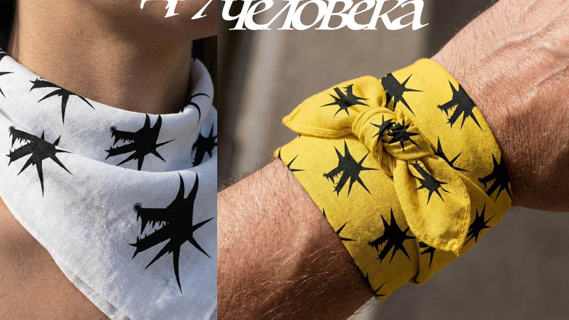 ДРУГ ЧЕЛОВЕКА — Изображение №10 — Брендинг на Dprofile