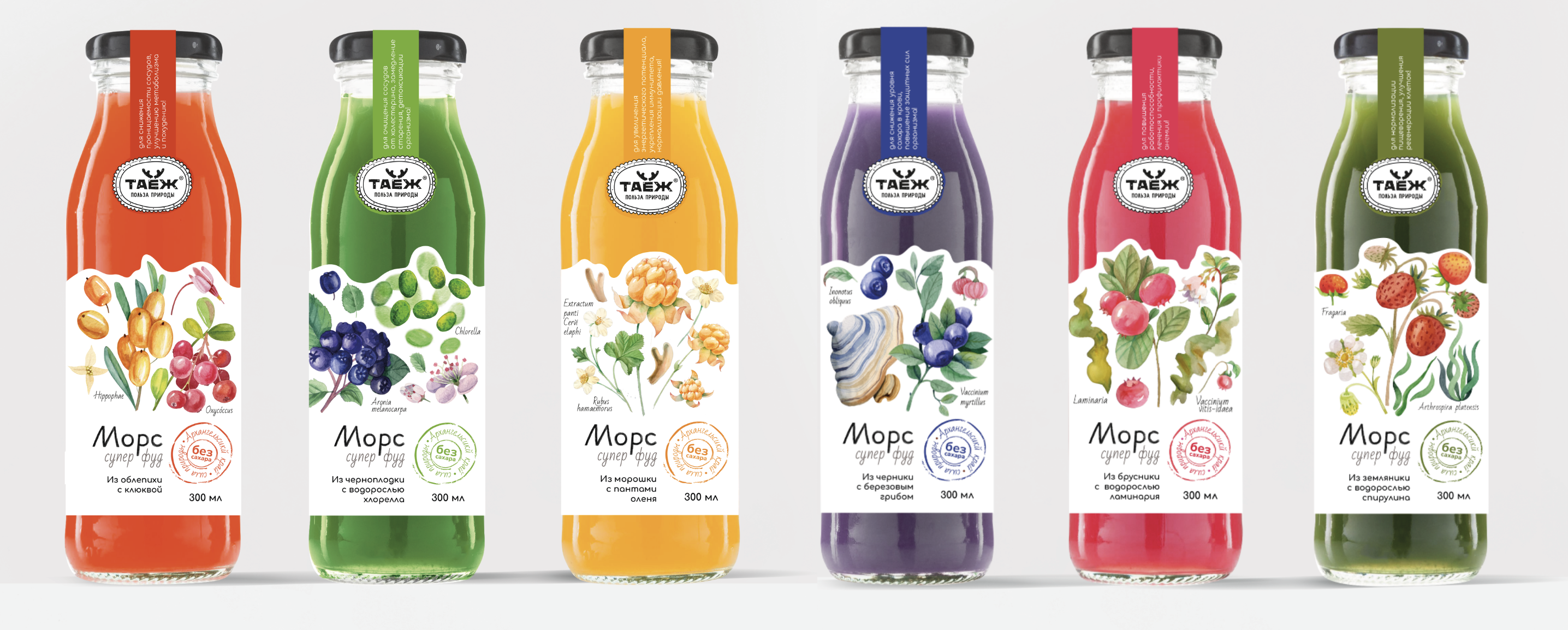 Дизайн серии этикеток для морсов — Изображение №1 — Брендинг на Dprofile
