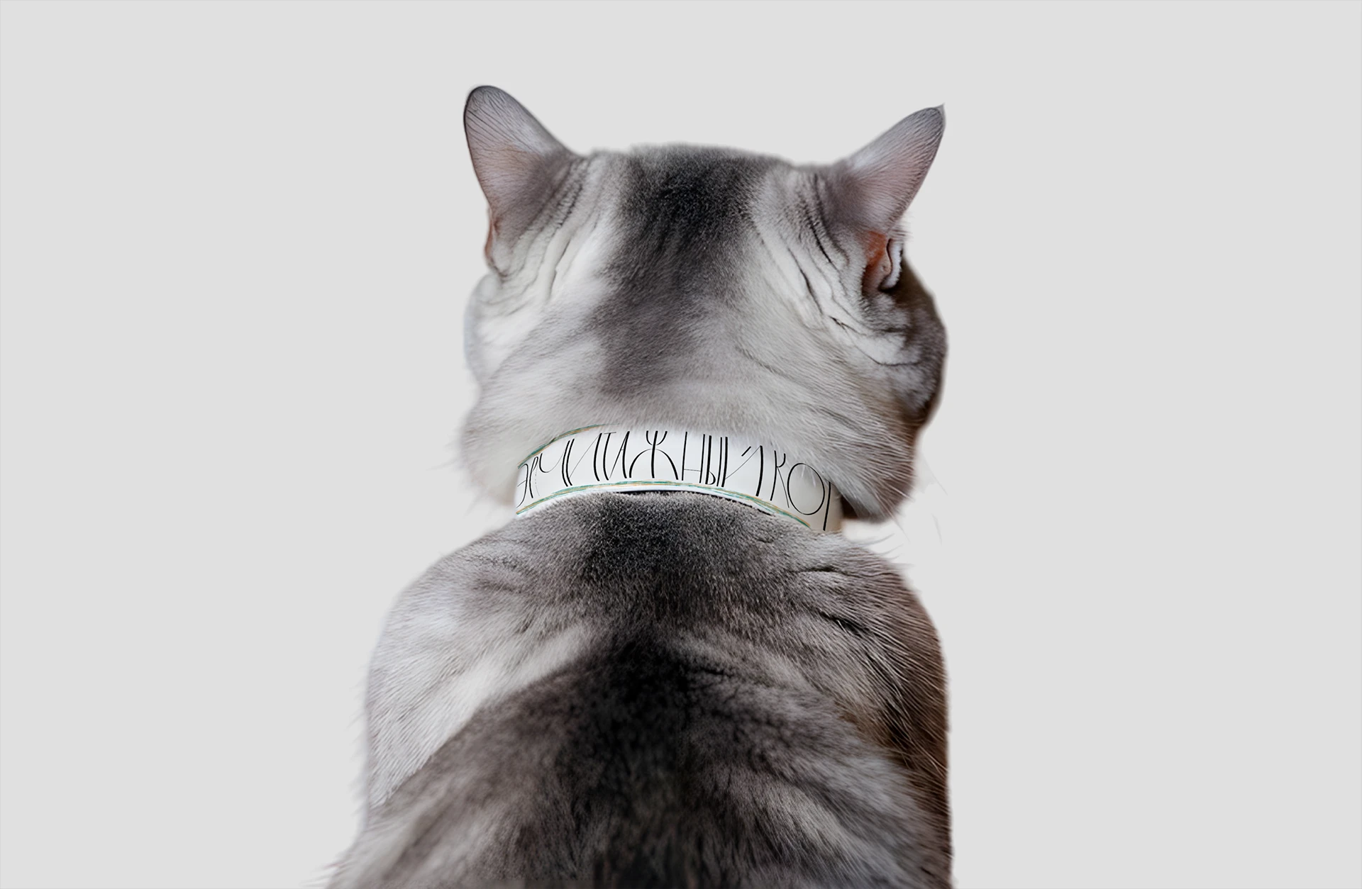 История котов Эрмитажа, иллюстрированная книга — Изображение №28 — Иллюстрация, Графика на Dprofile