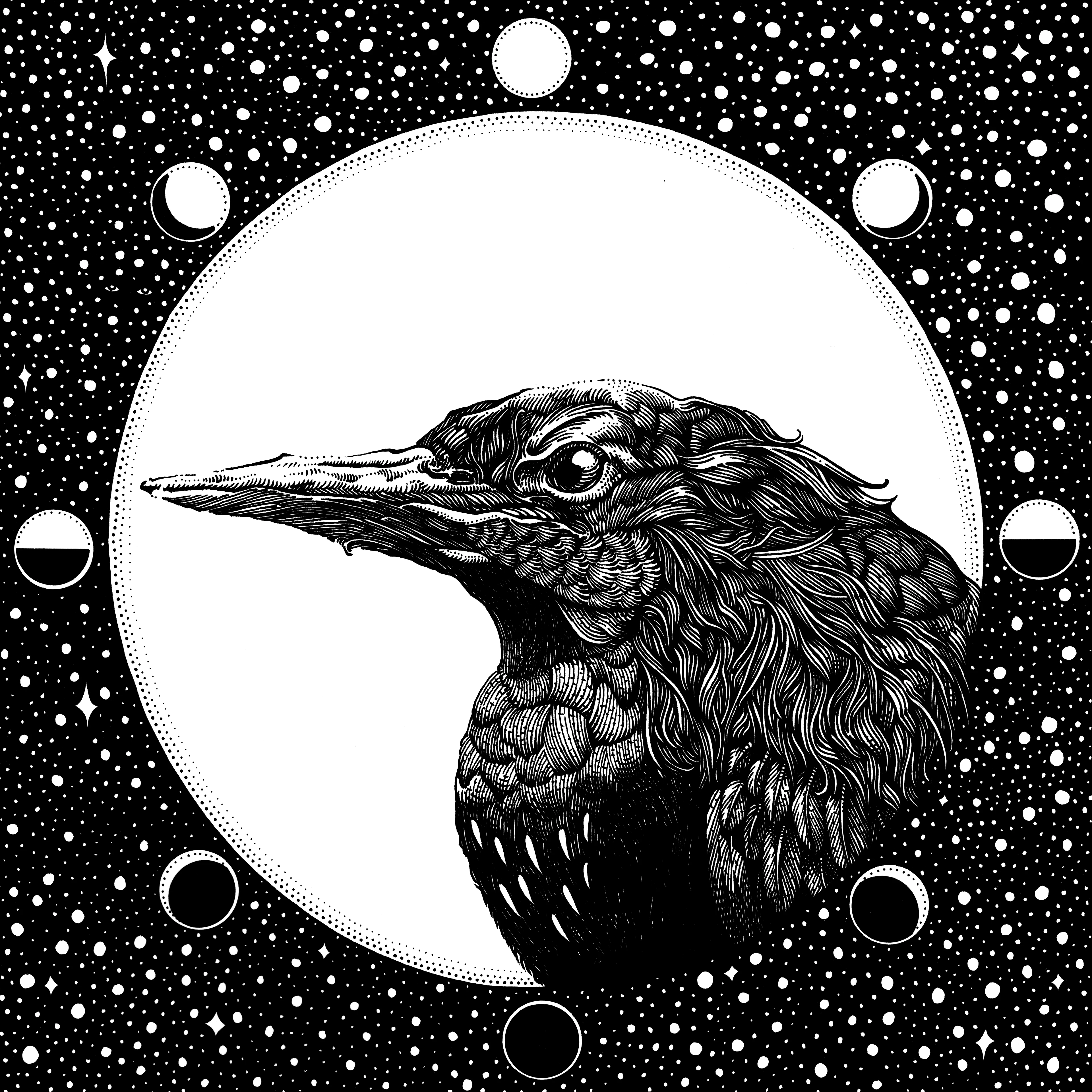 Рисунки чернилами — Изображение №3 — Иллюстрация на Dprofile