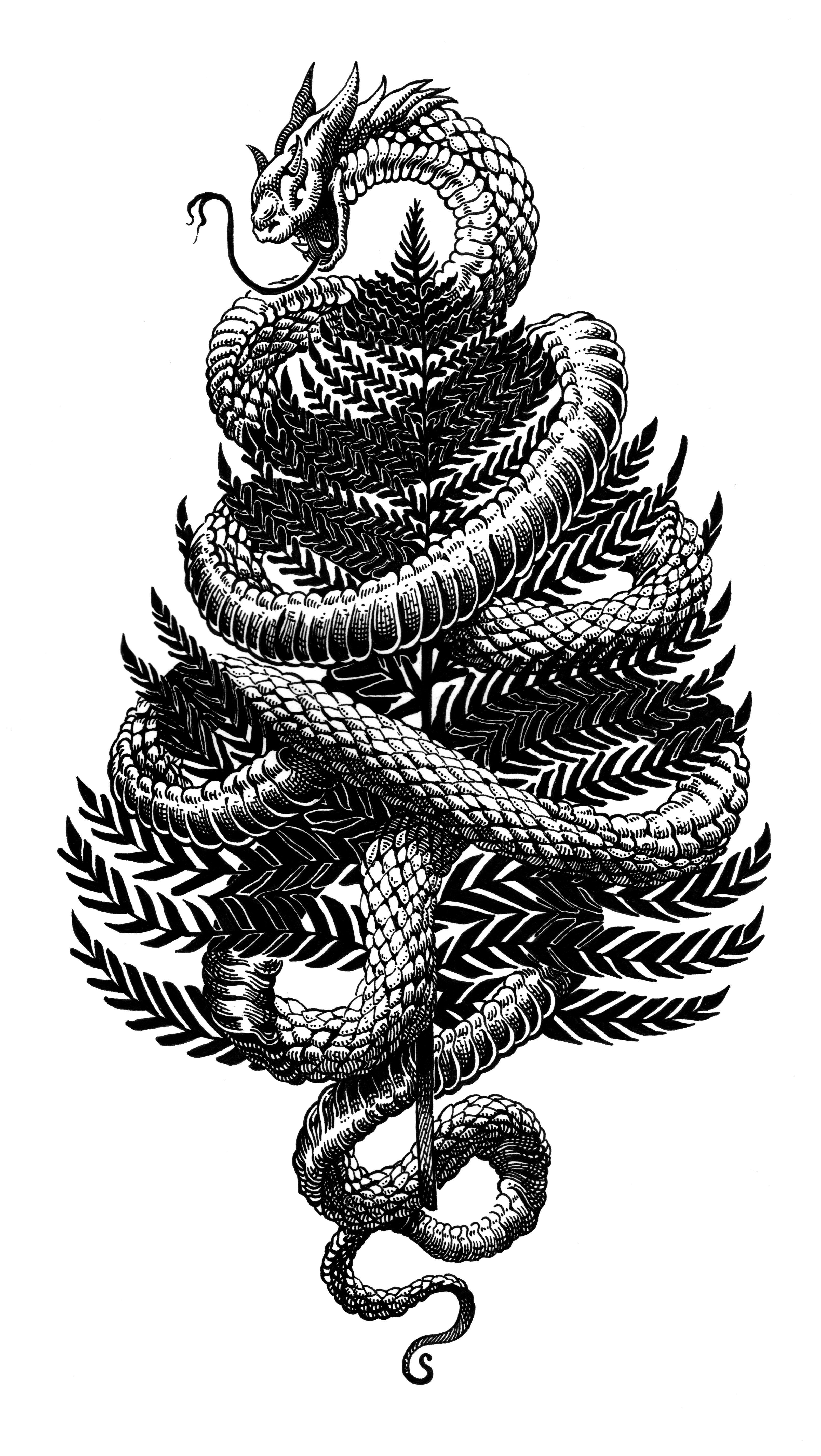 Рисунки чернилами — Изображение №2 — Иллюстрация на Dprofile