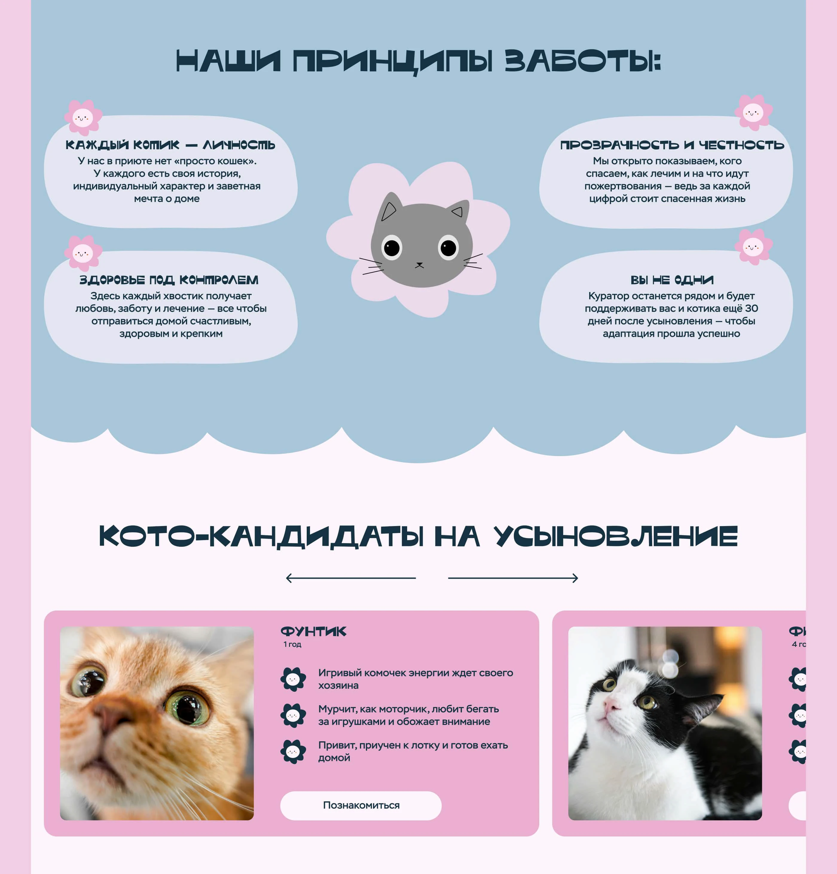 Лендинг для приюта — Изображение №9 — Интерфейсы на Dprofile