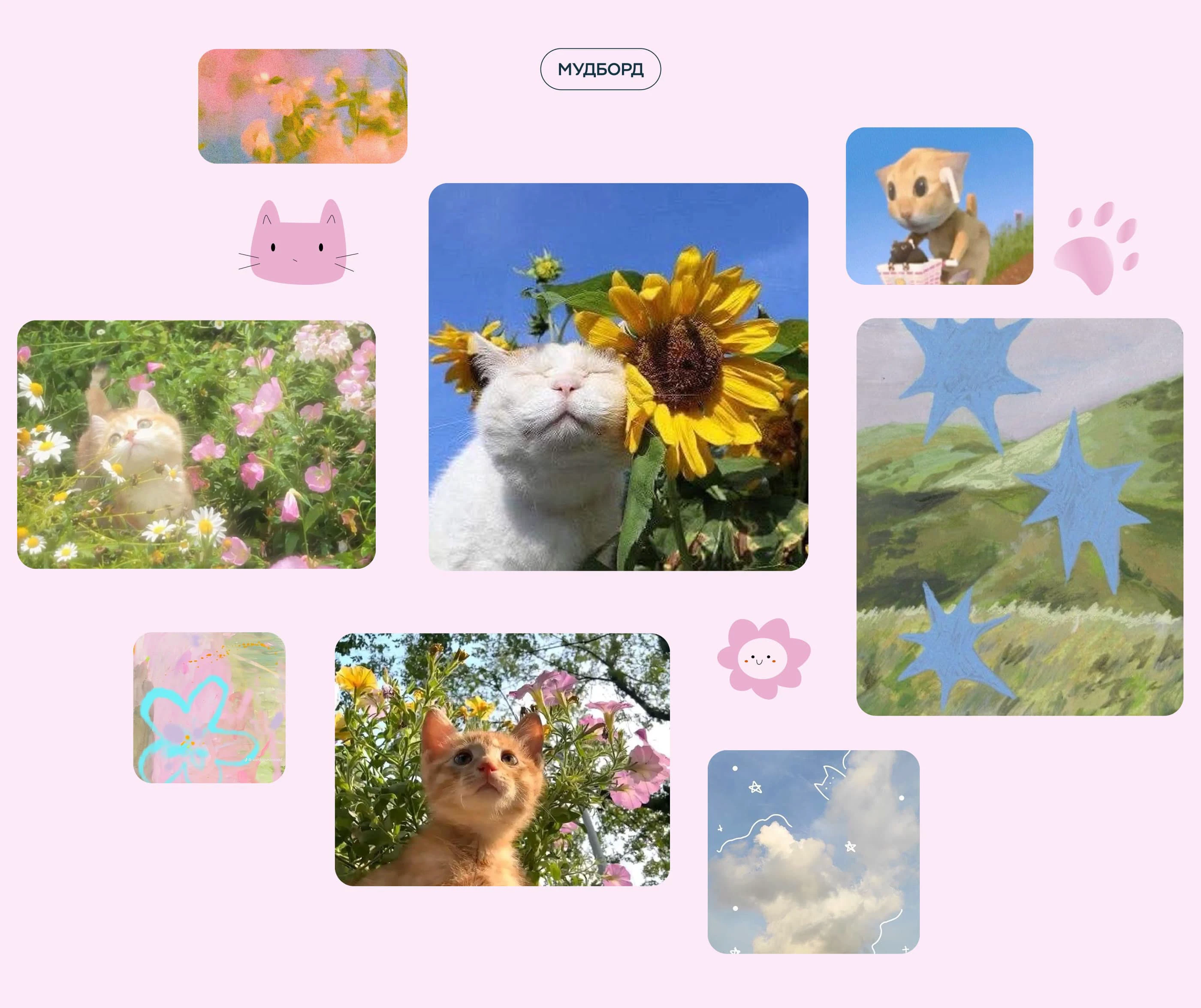 Лендинг для приюта — Изображение №5 — Интерфейсы на Dprofile