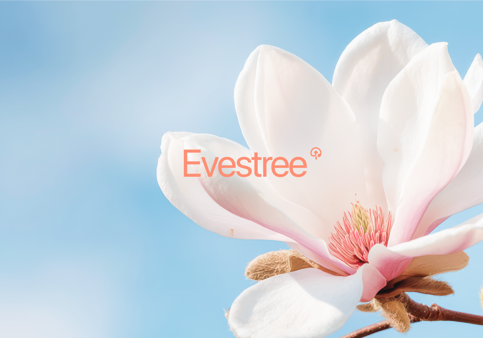 Evestree | Мобильное приложение афиша | Учебный проект — Изображение №1 — Интерфейсы, Брендинг на Dprofile