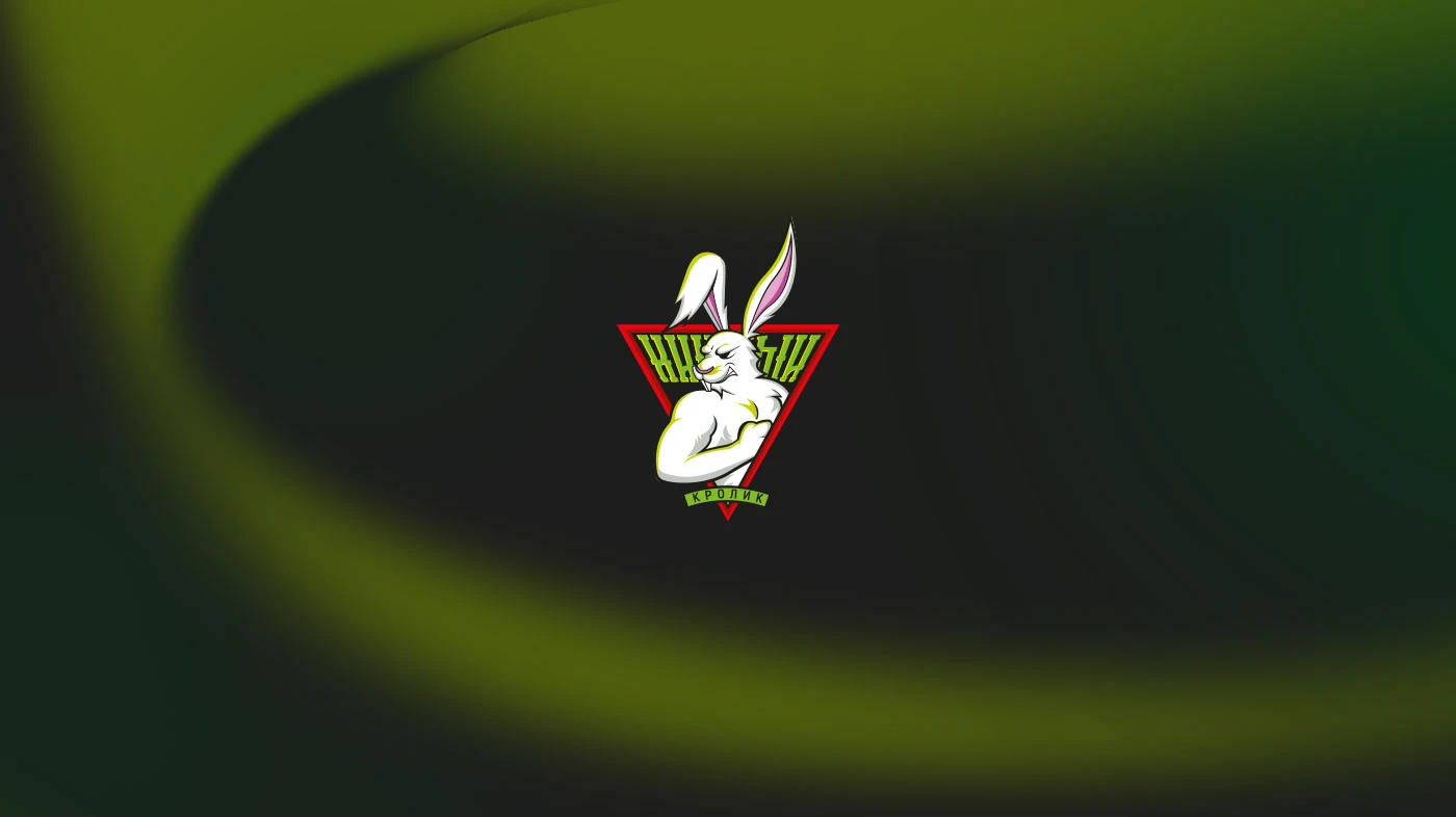 Дизайн спортивной команды "Хищный кролик" — Изображение №3 — Брендинг на Dprofile