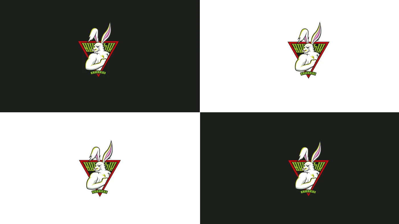 Дизайн спортивной команды "Хищный кролик" — Изображение №5 — Брендинг на Dprofile